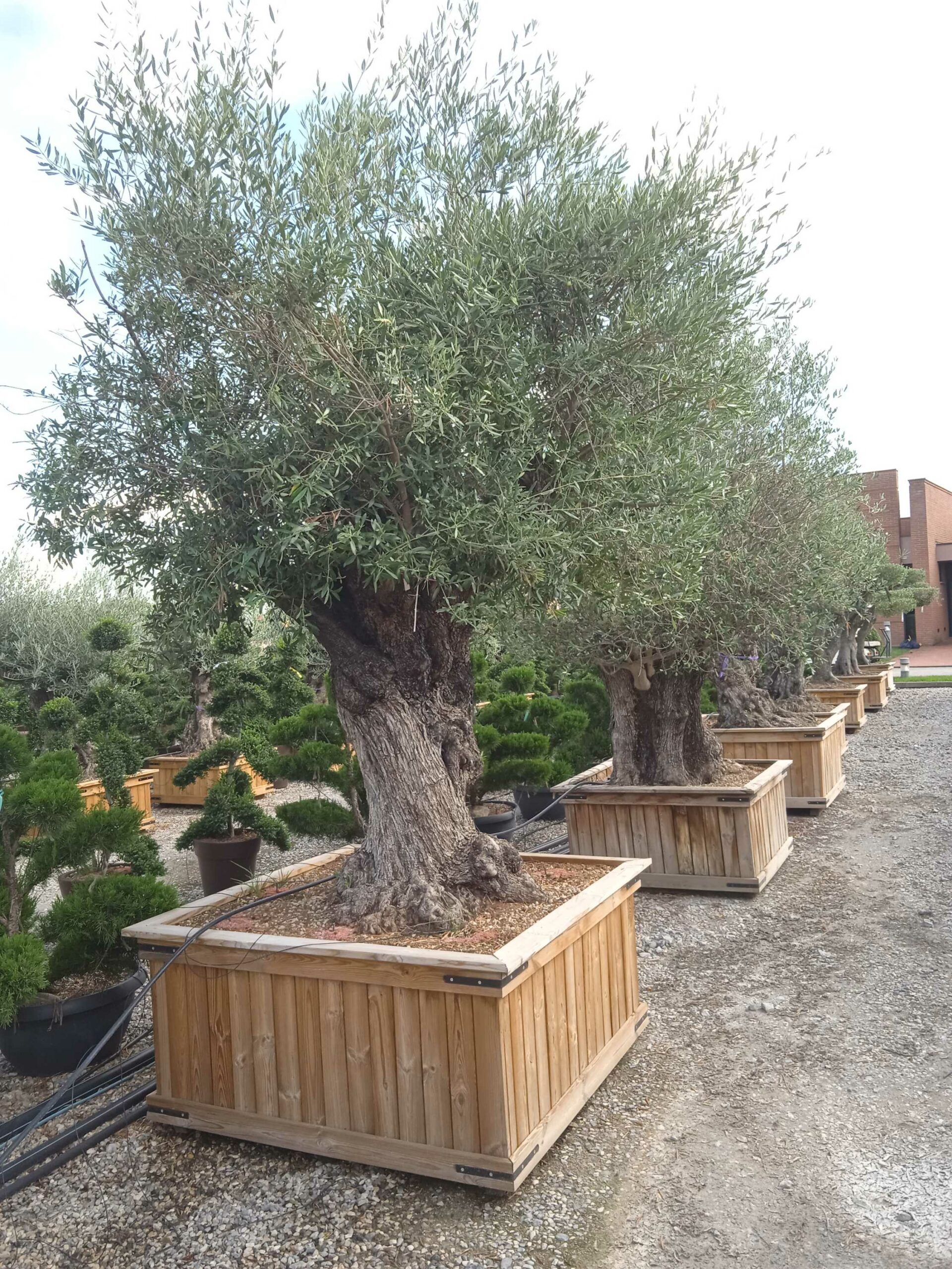 1661782944 scaled 1dc80575