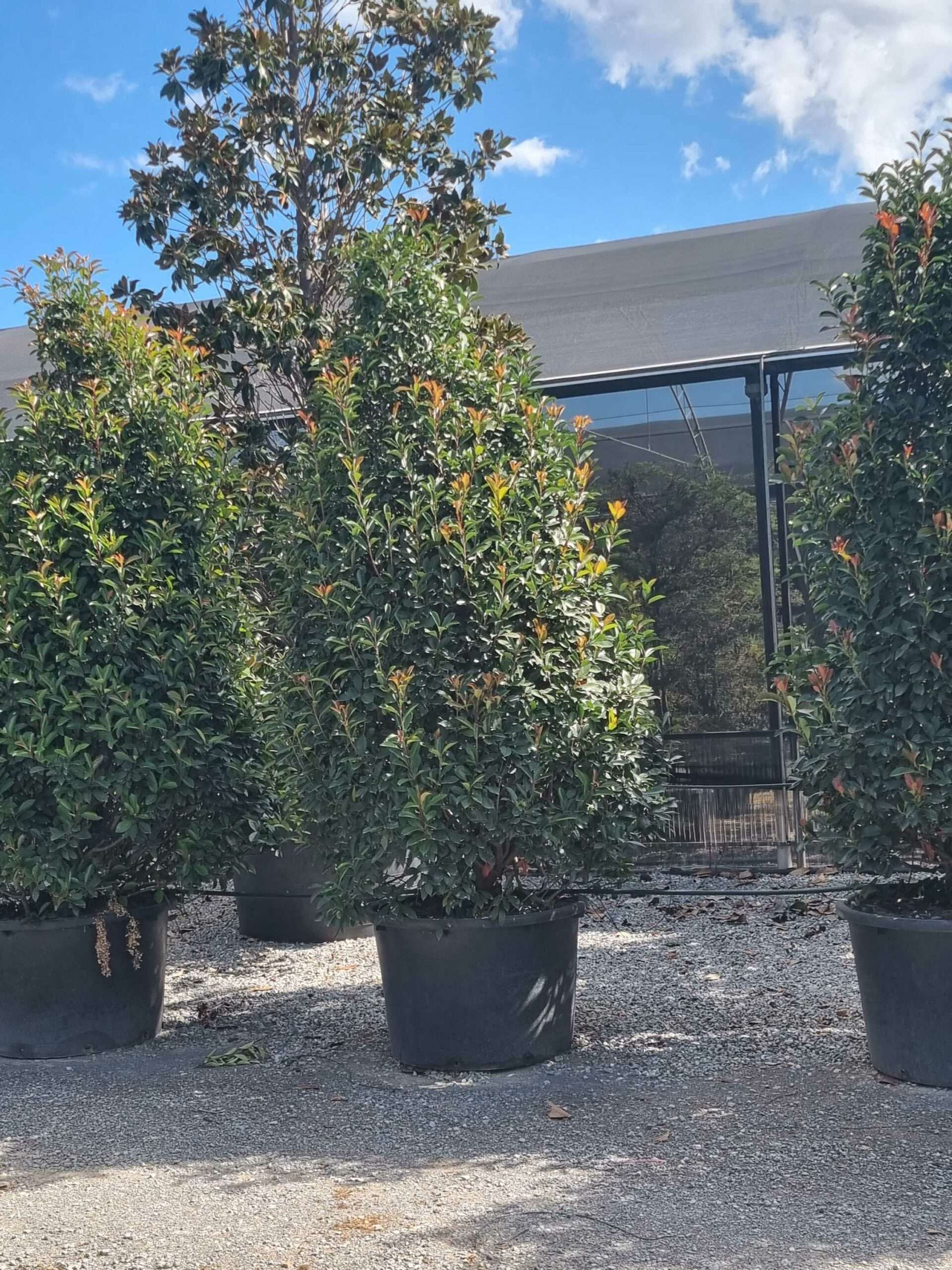 1663580361 scaled 1d1abbf3