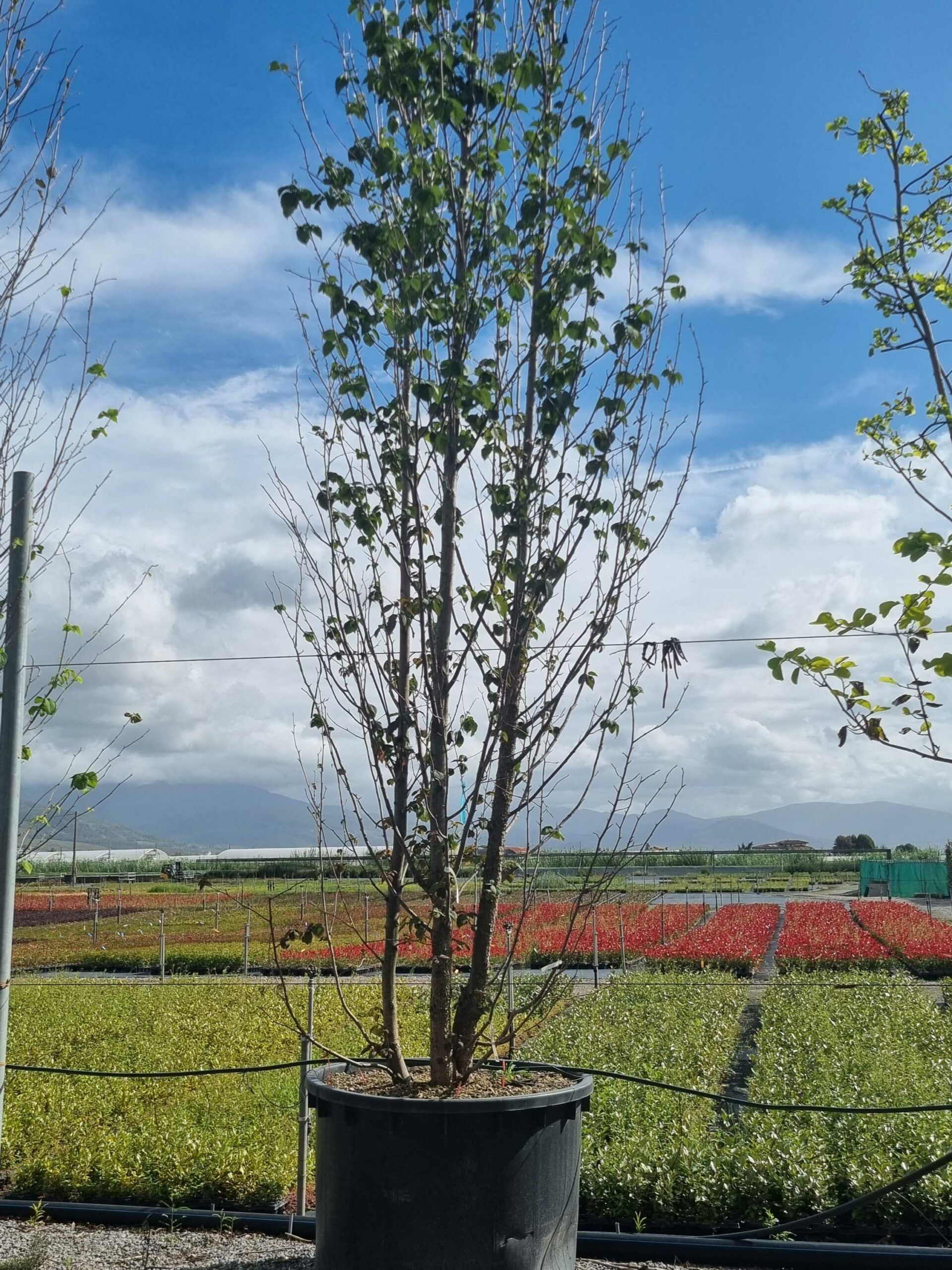 1664442630 scaled 1d437570