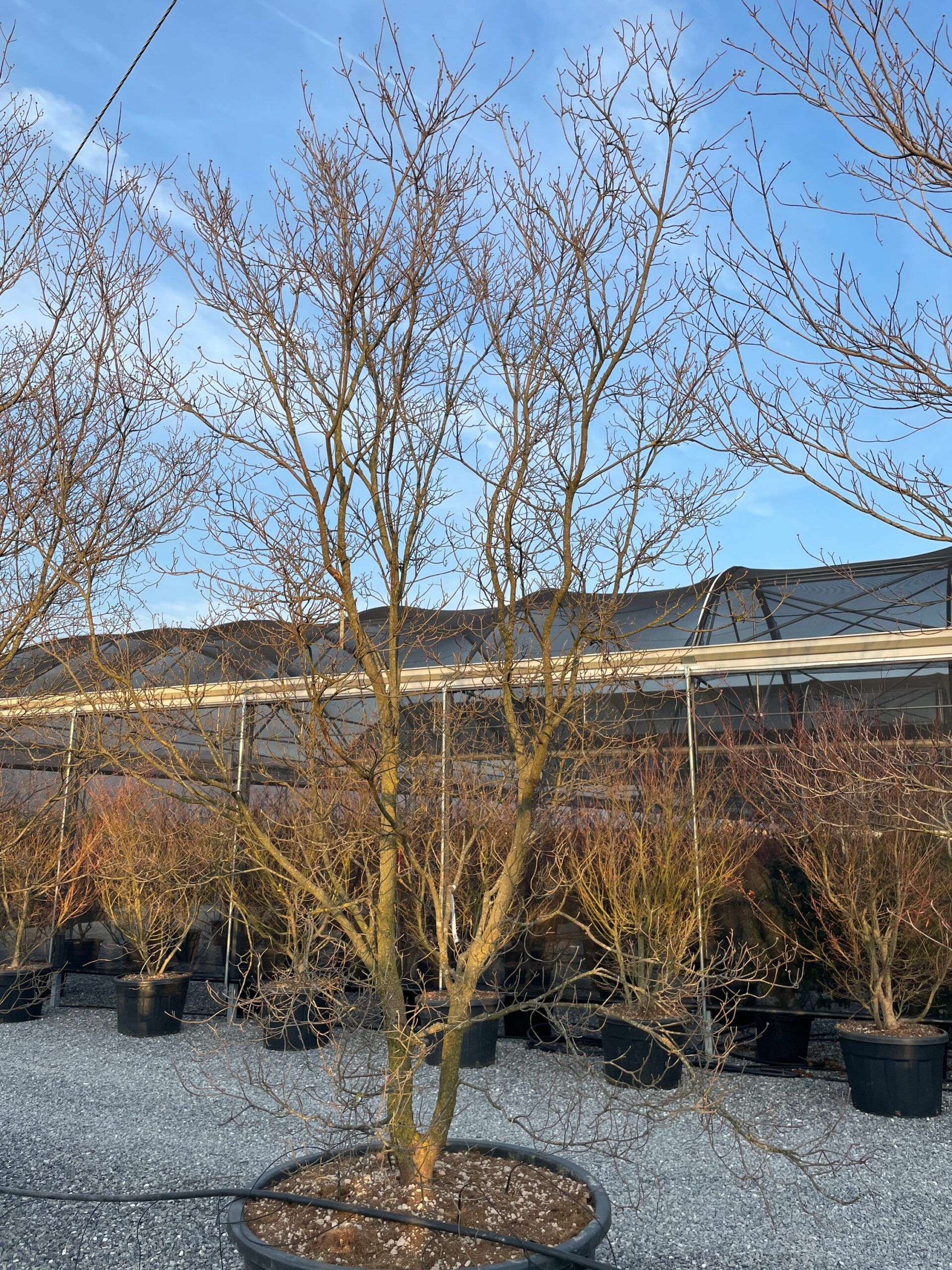 1676909751 scaled 1d1b6a60