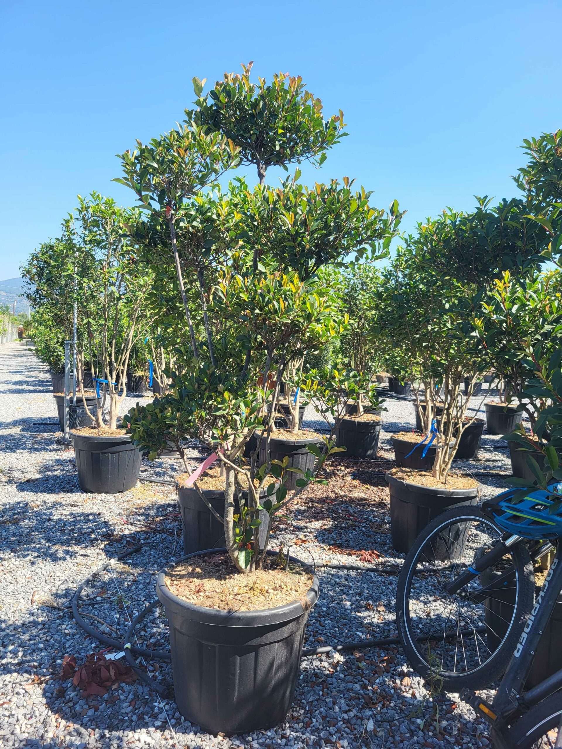 1692694571 scaled 1dee35cc