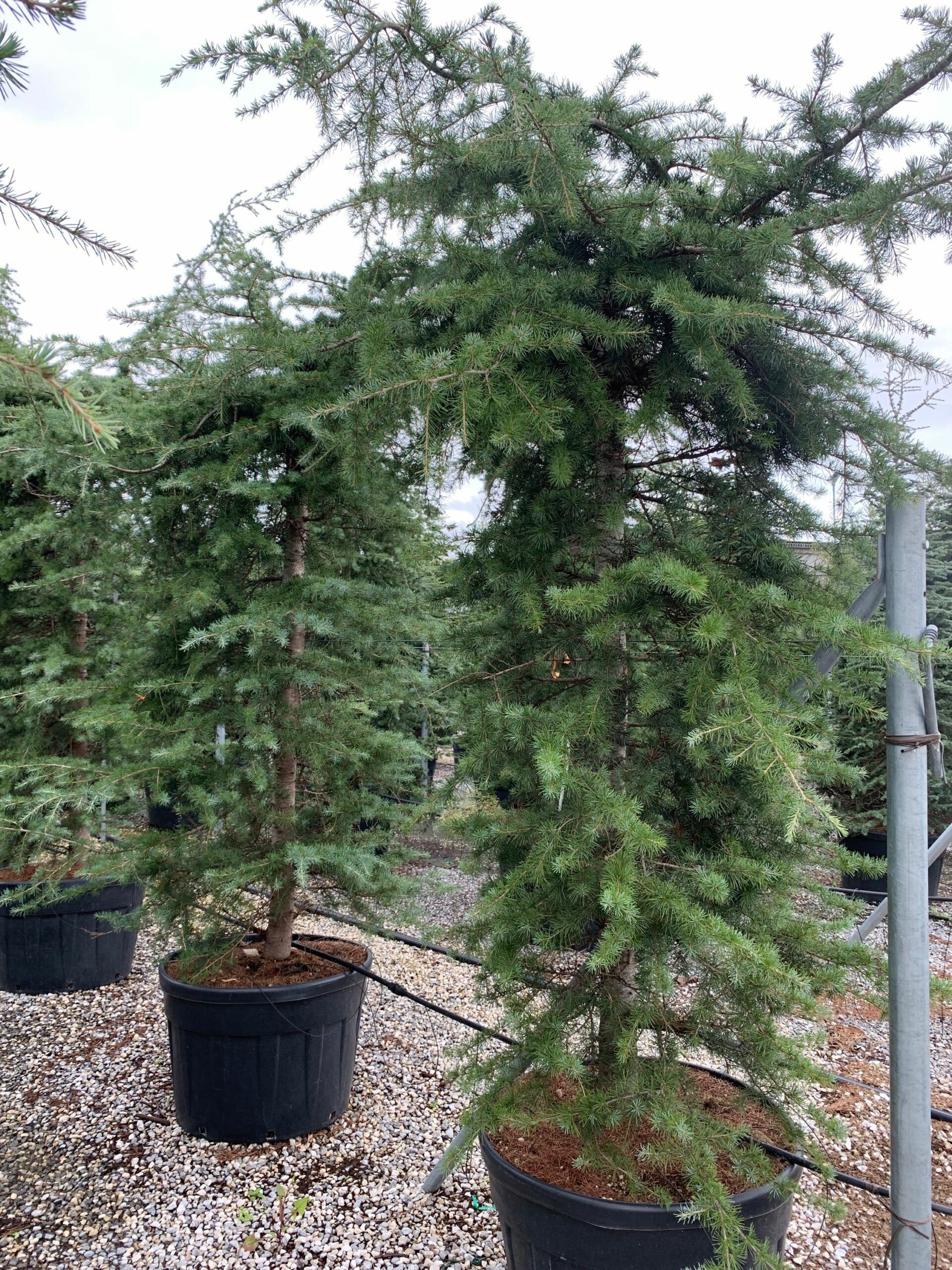 1633436765 scaled 1e3feb35