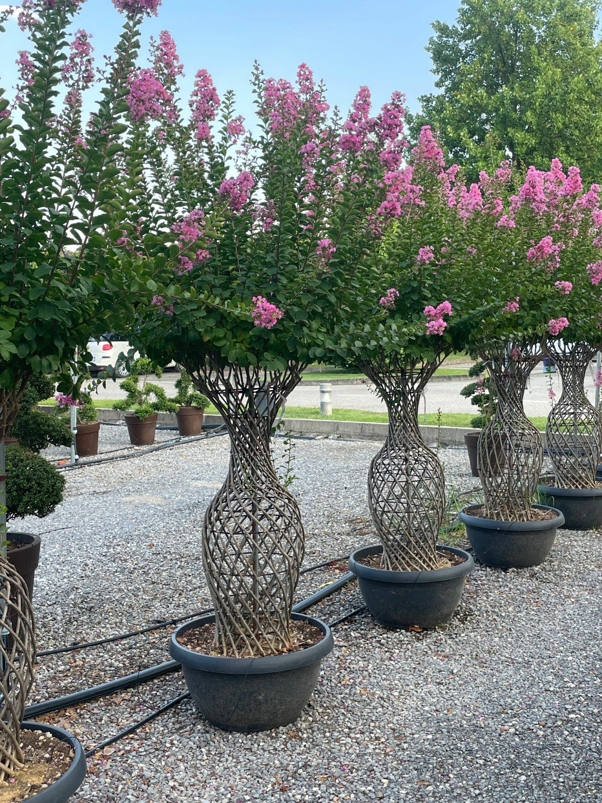 1659461223 scaled 1e51e004