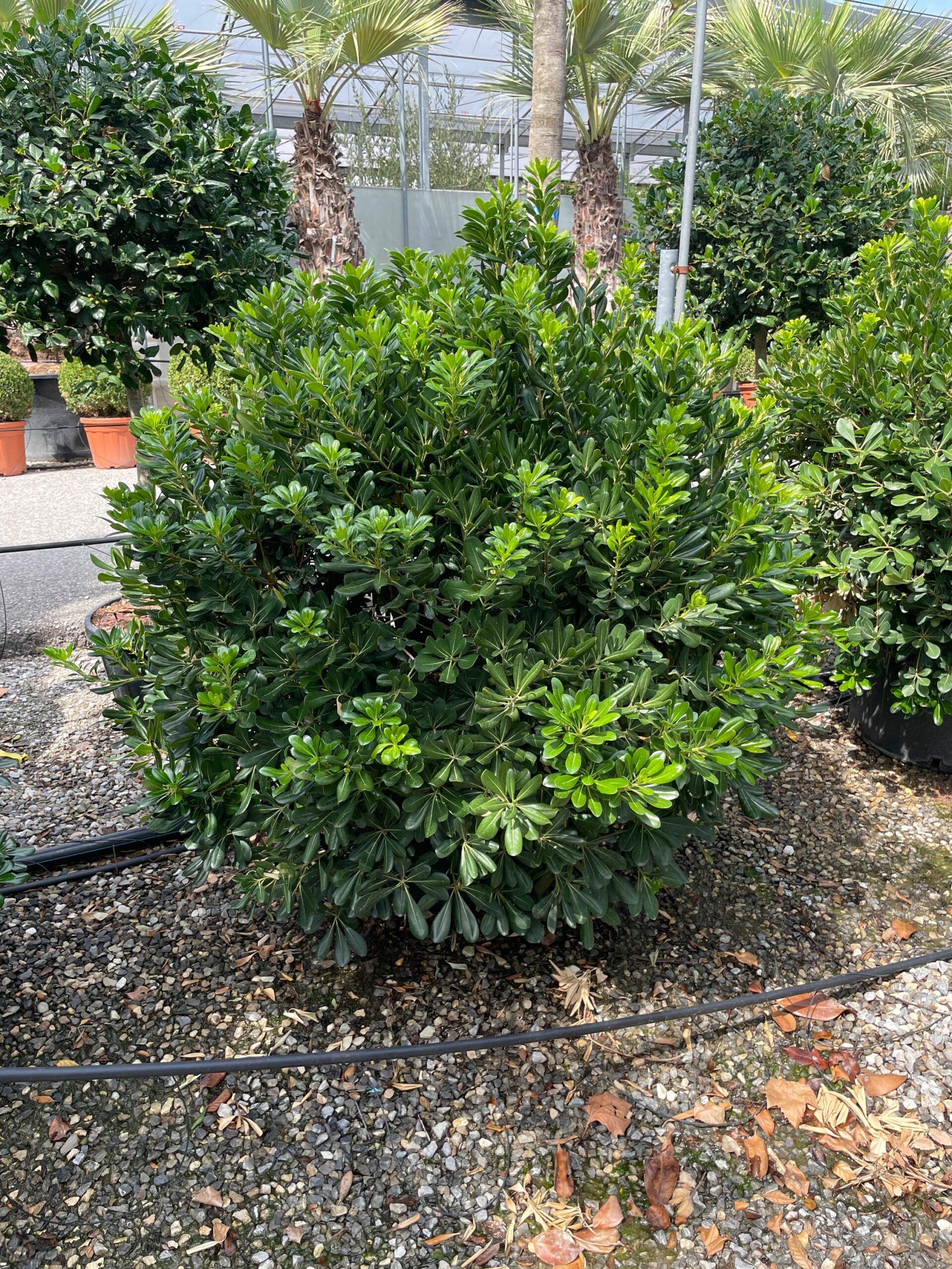 1661856219 scaled 1e94b831