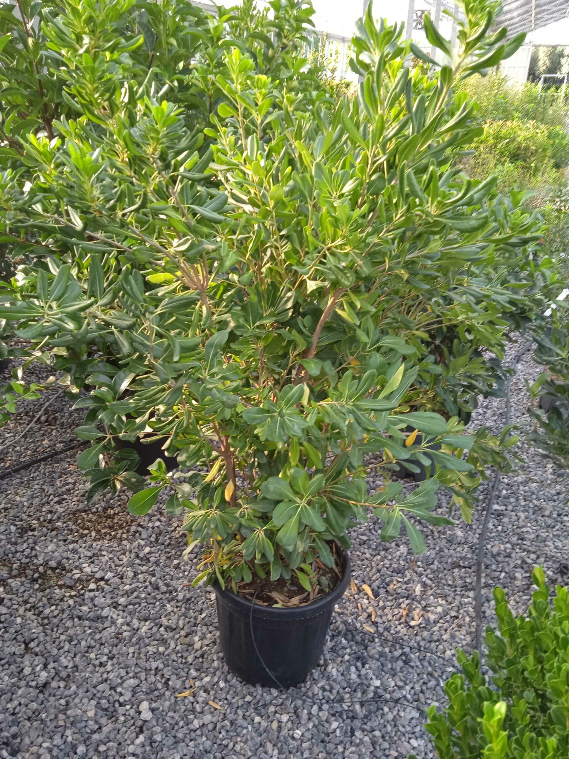 1662446902 scaled 1e3f9871