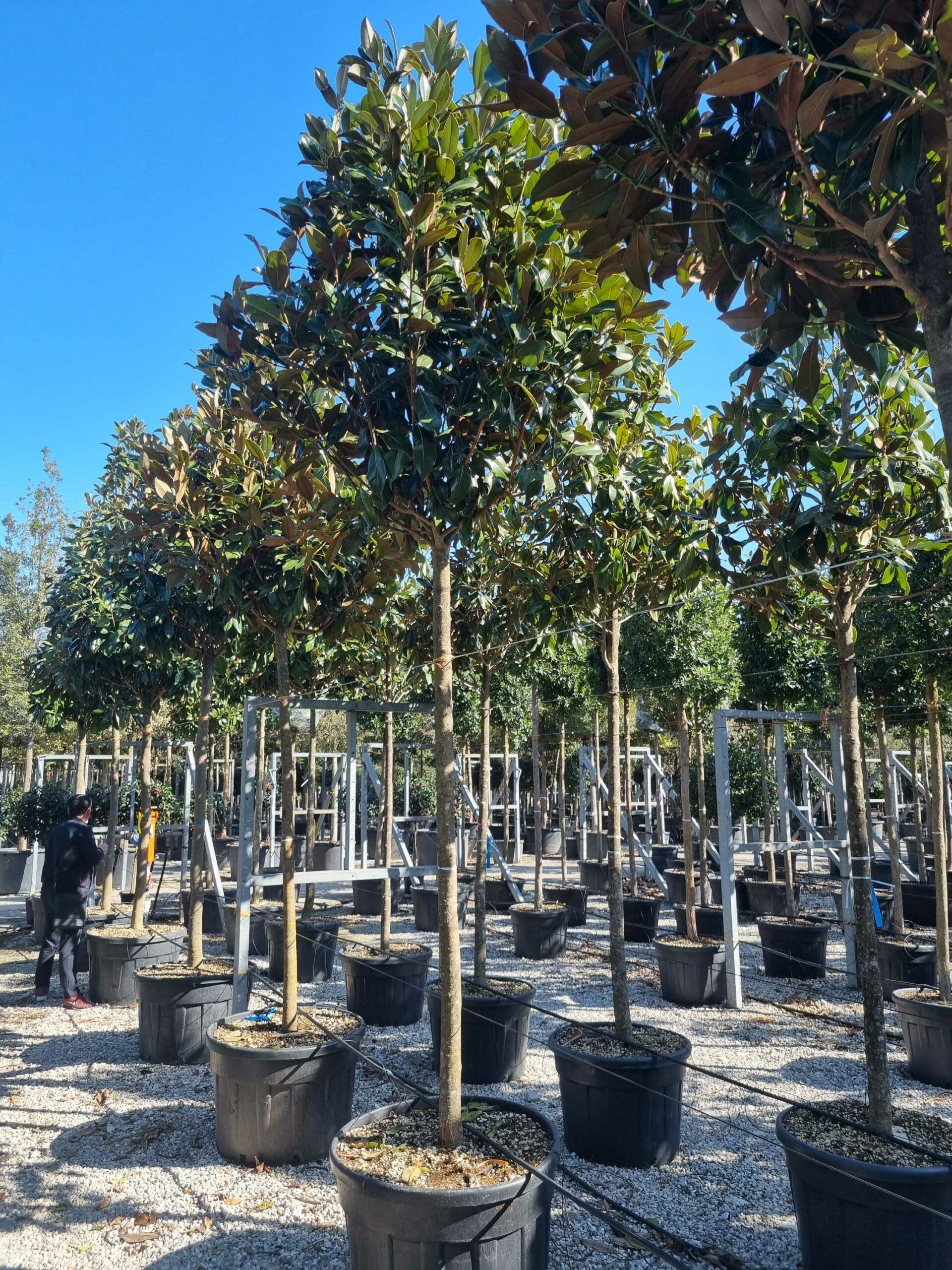 1677923016 scaled 1ec4f519