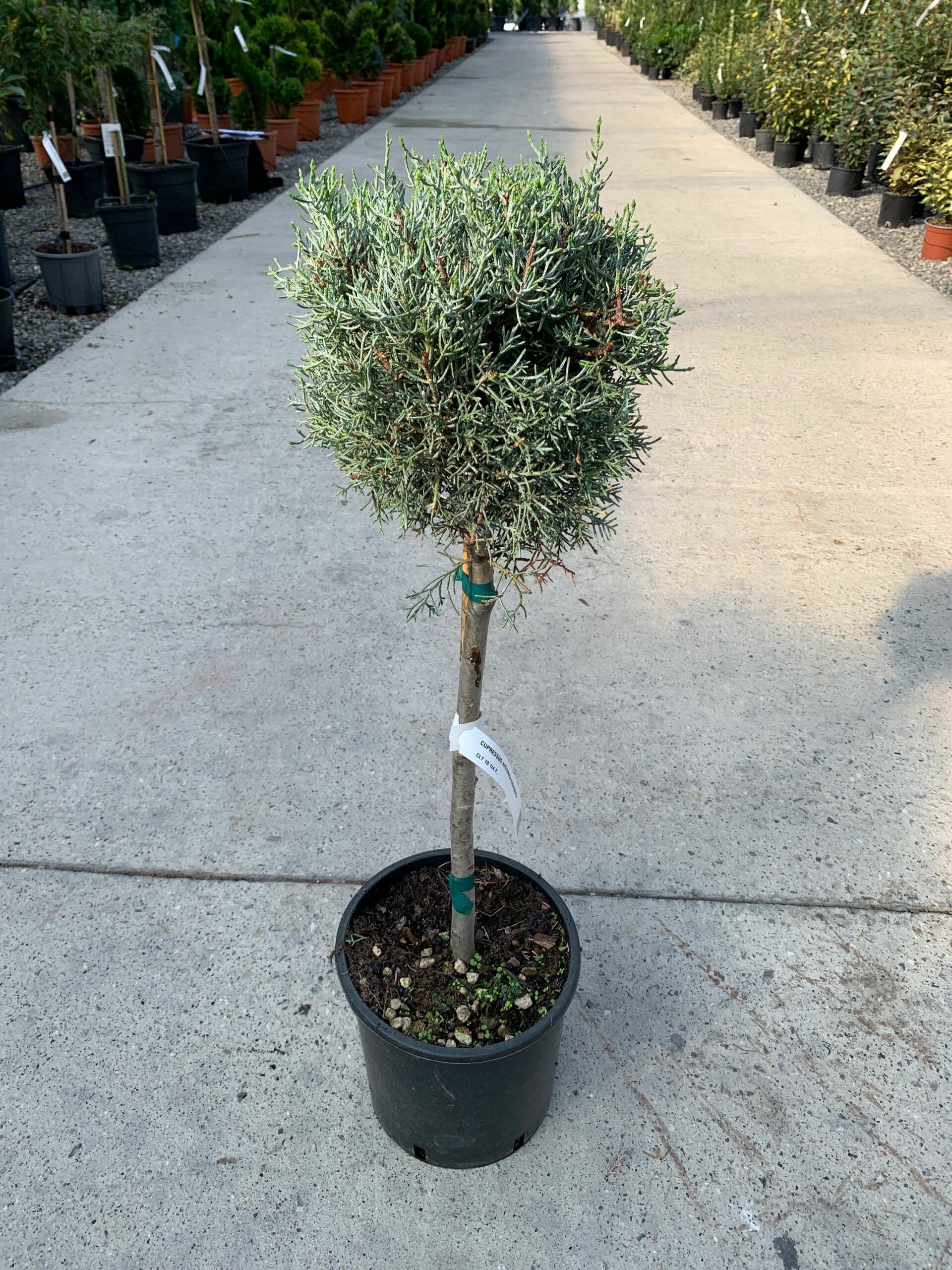 1632837339 scaled 1fc81b06