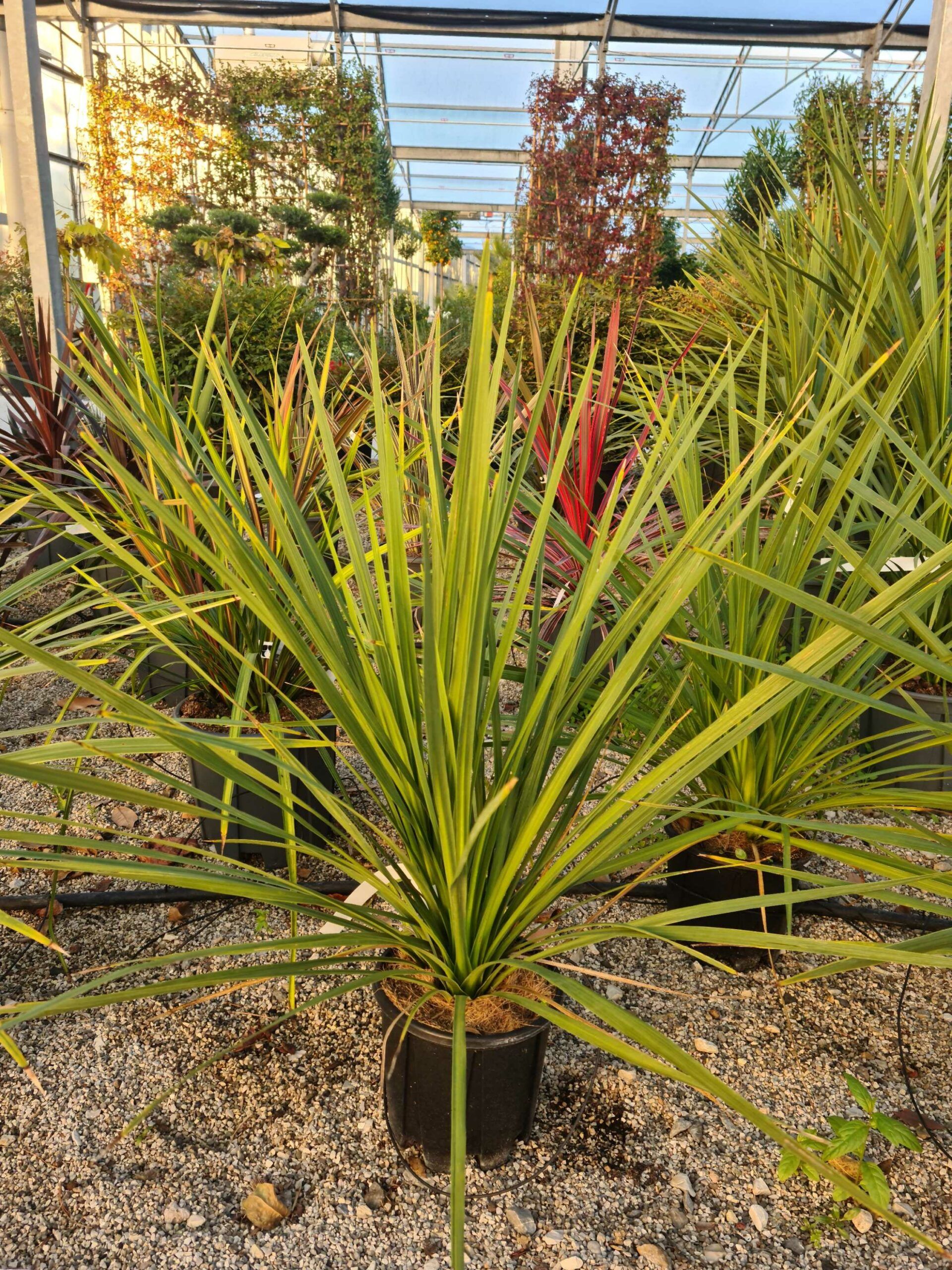 1639467716 scaled 1f506e83