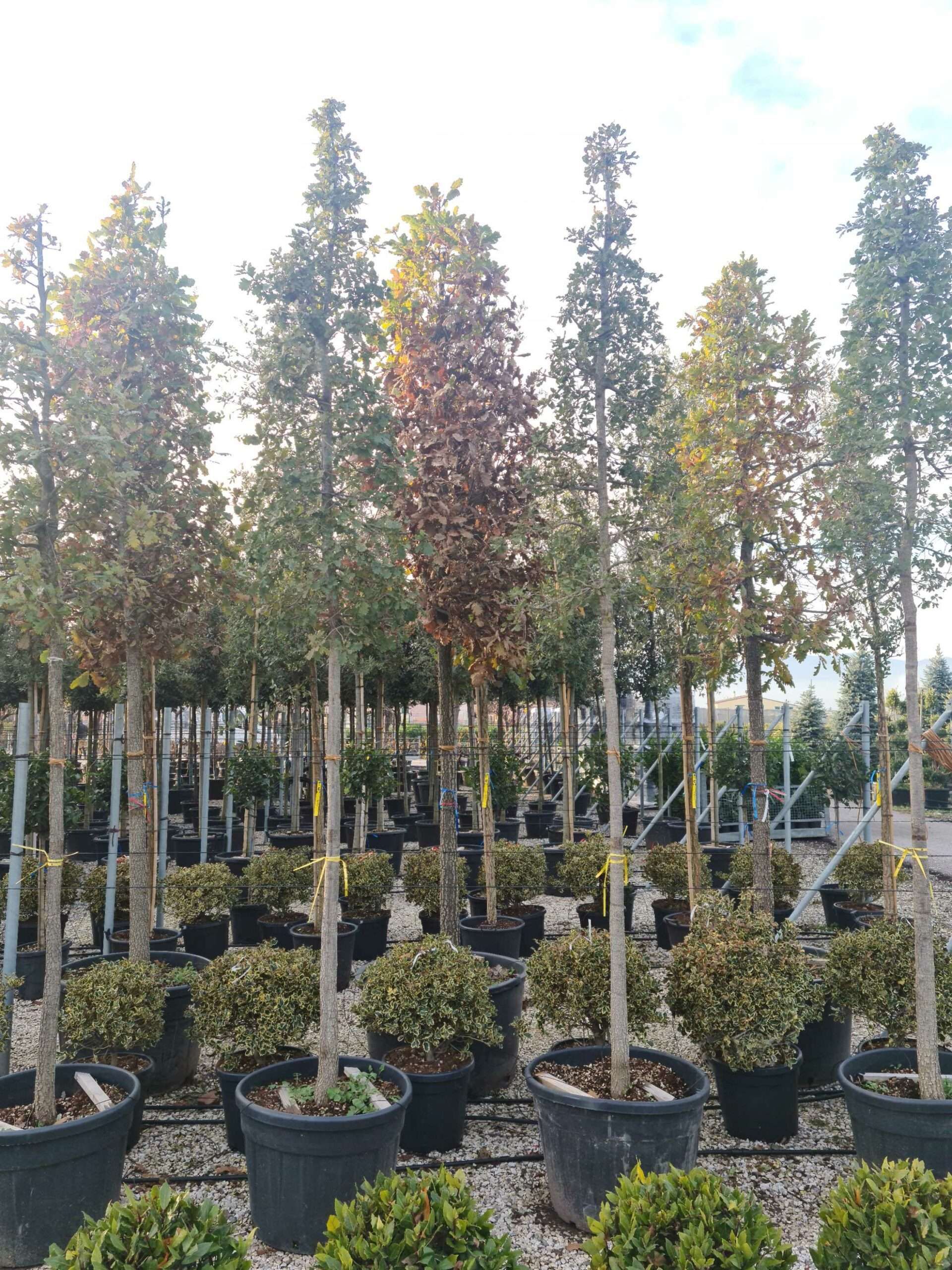 1639491500 scaled 1f2a1ce0