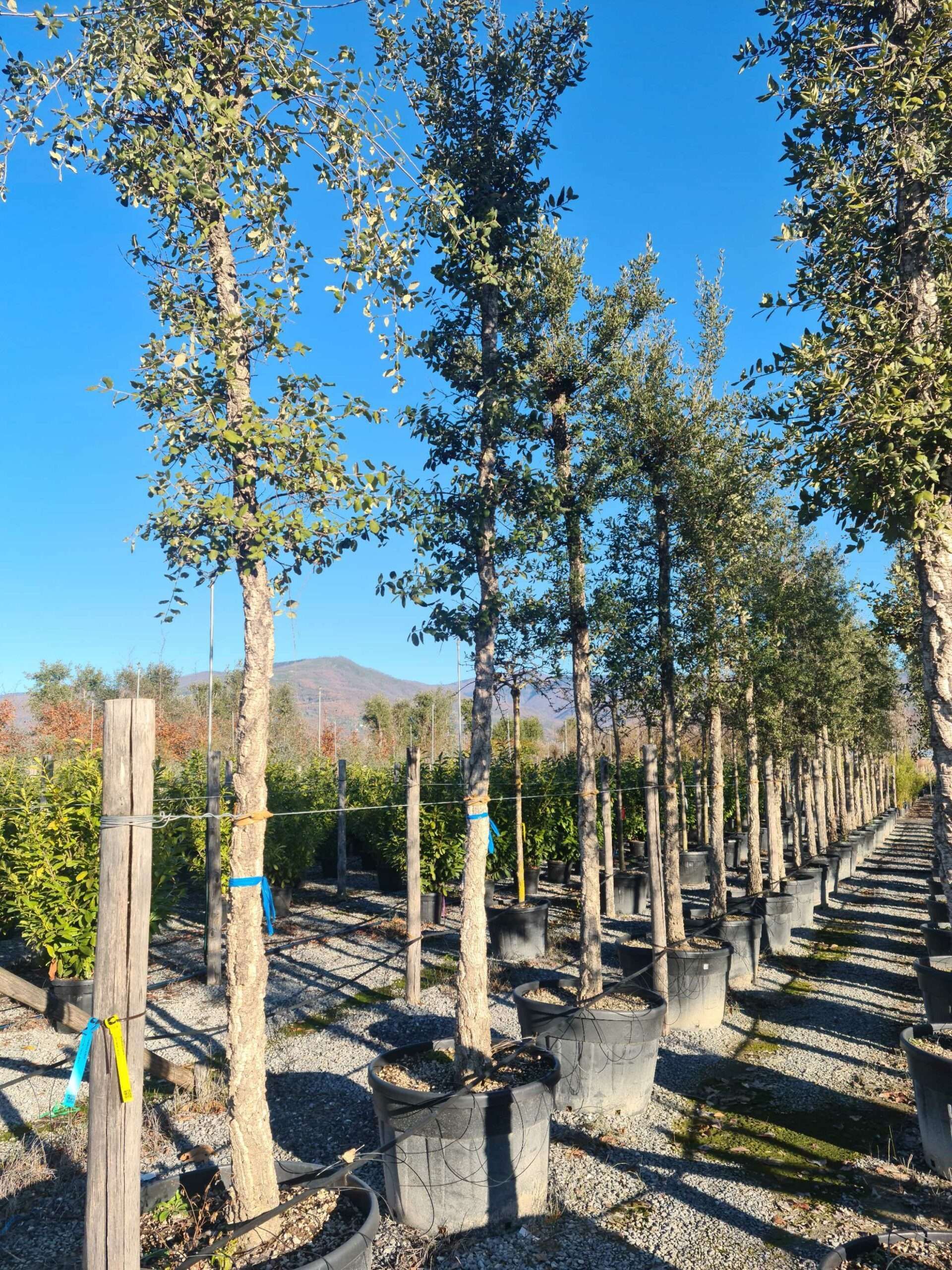 1639731407 scaled 1fa0888d