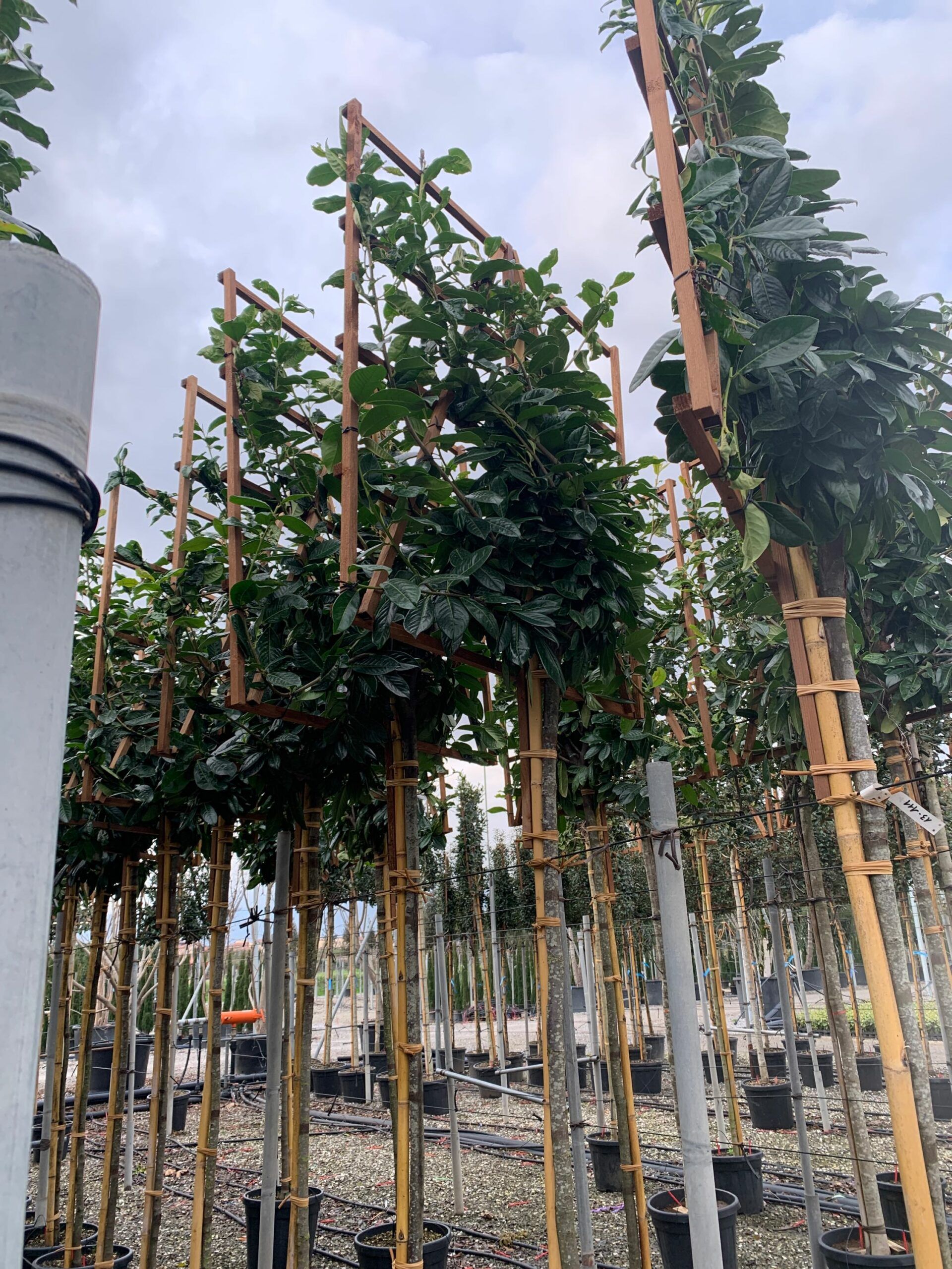 1641221019 scaled 1fdb2fe2