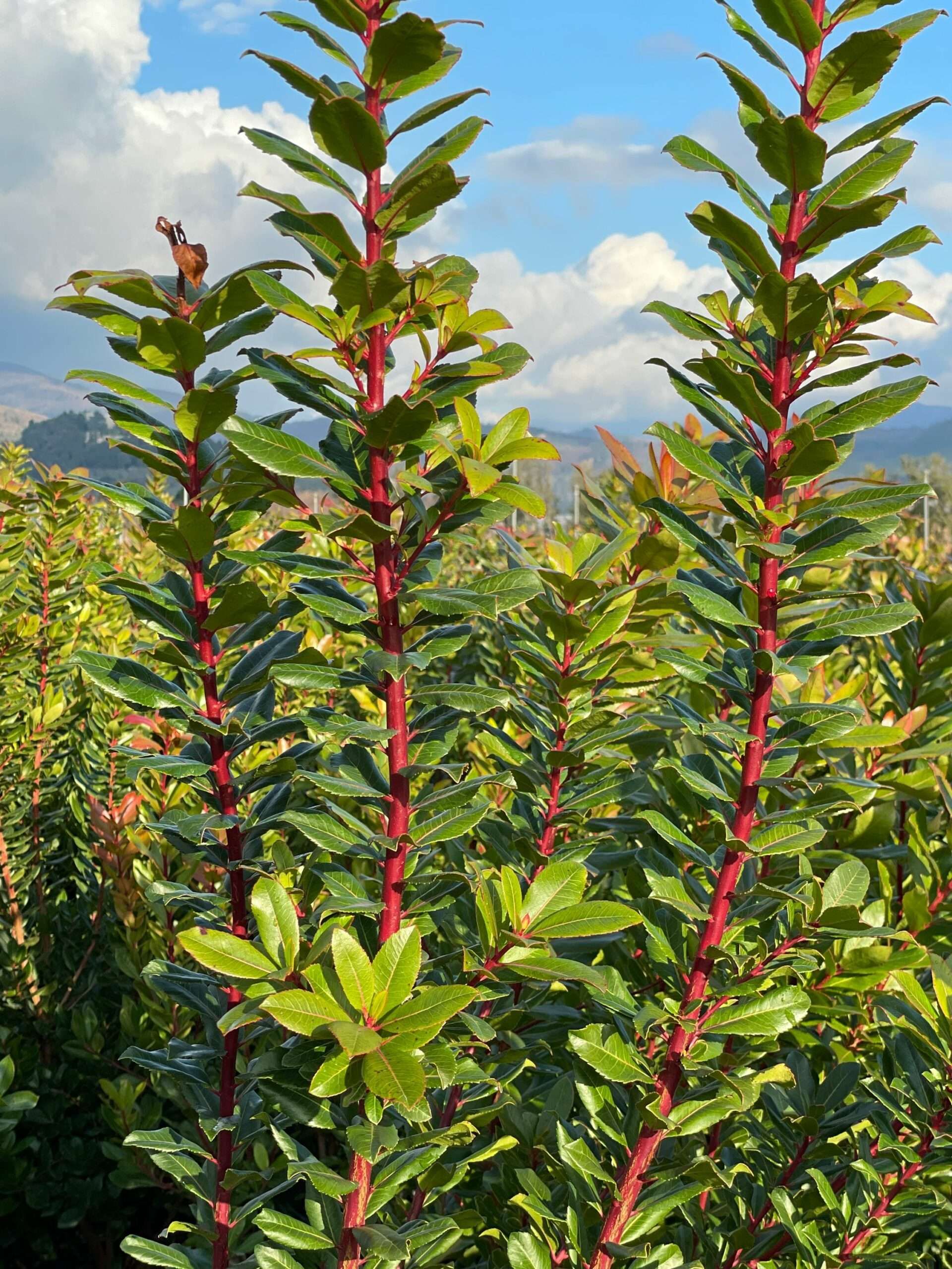 1642688105 scaled 1f89ae93