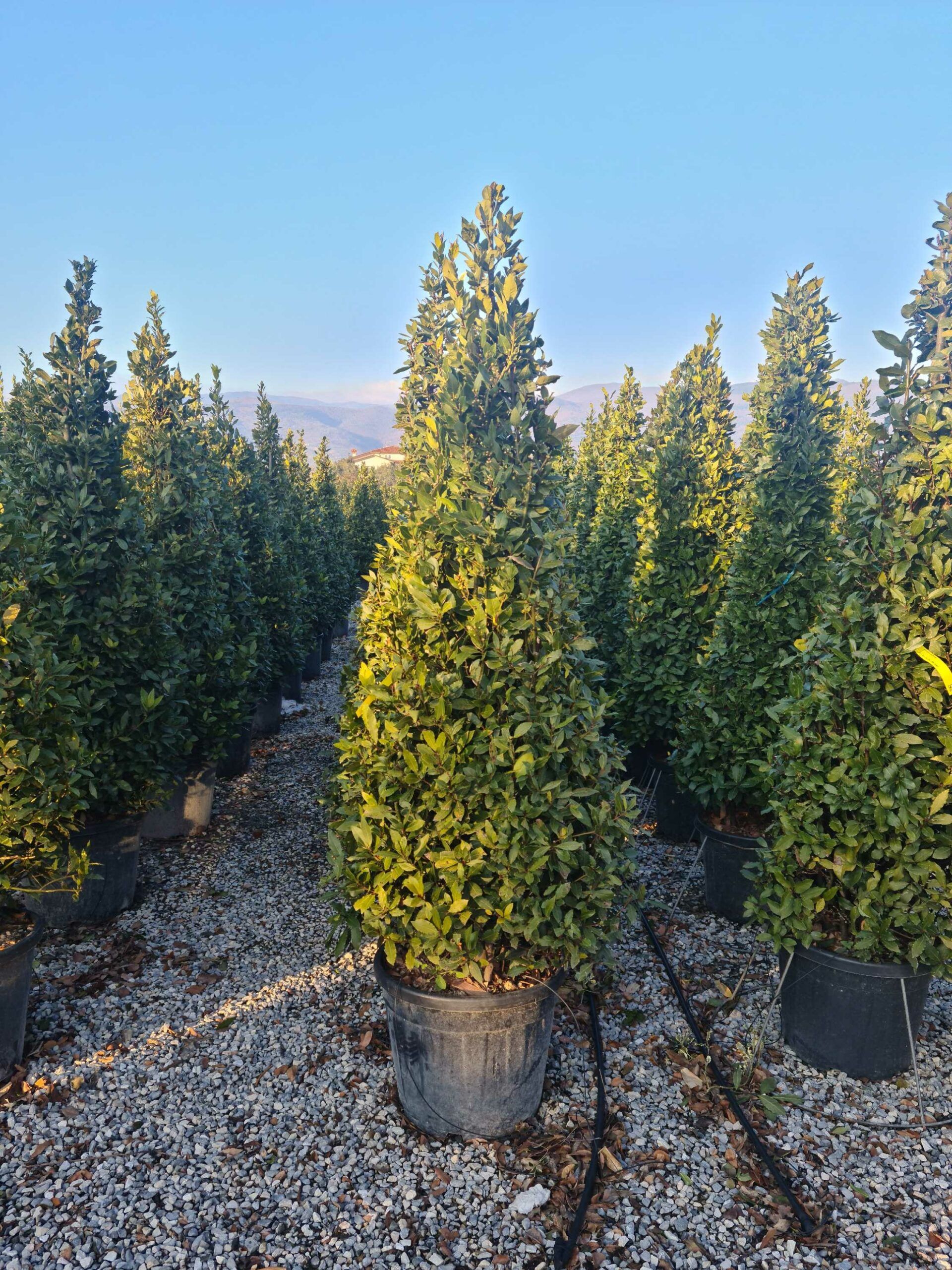 1642777718 scaled 1f3965de