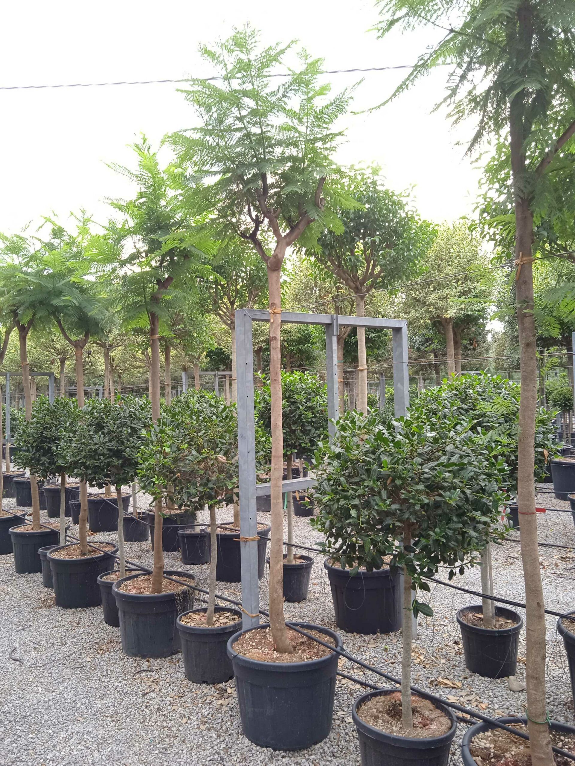 1661871031 scaled 1fb13f15