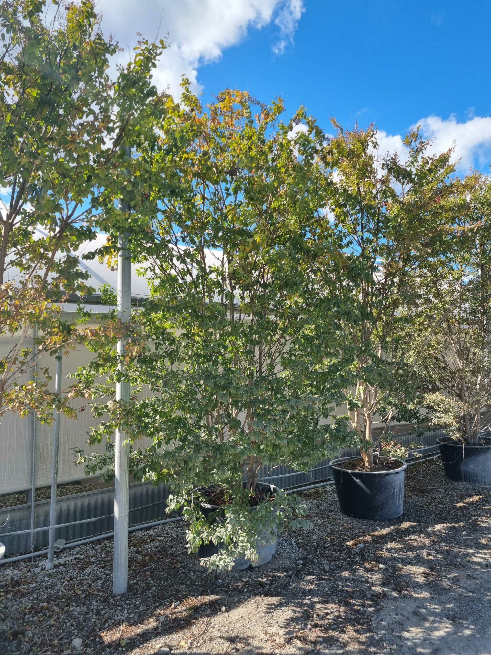 1663766557 scaled 1fd36375