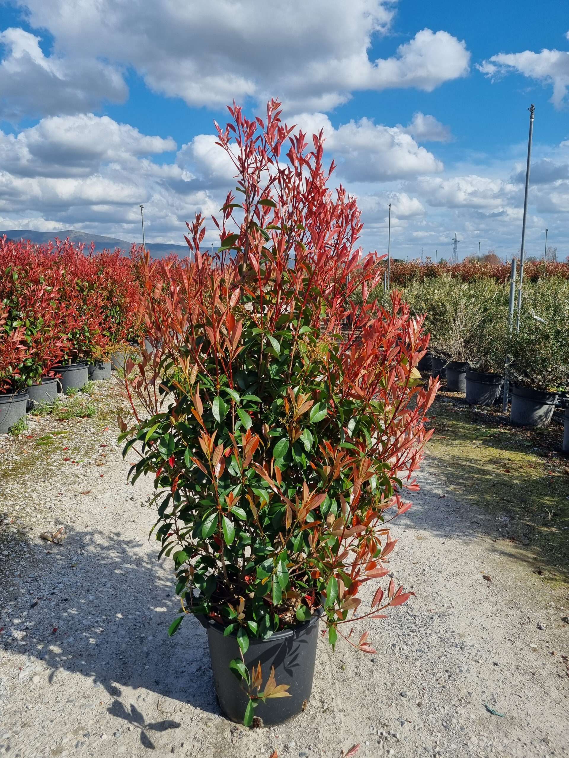 1680679407 20230330 162335 scaled 1f7a3aff