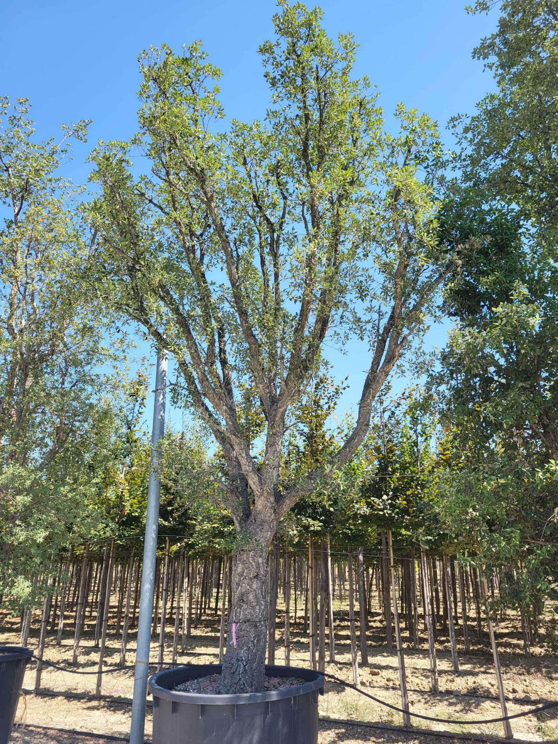 1692793890 scaled 1ffd049c