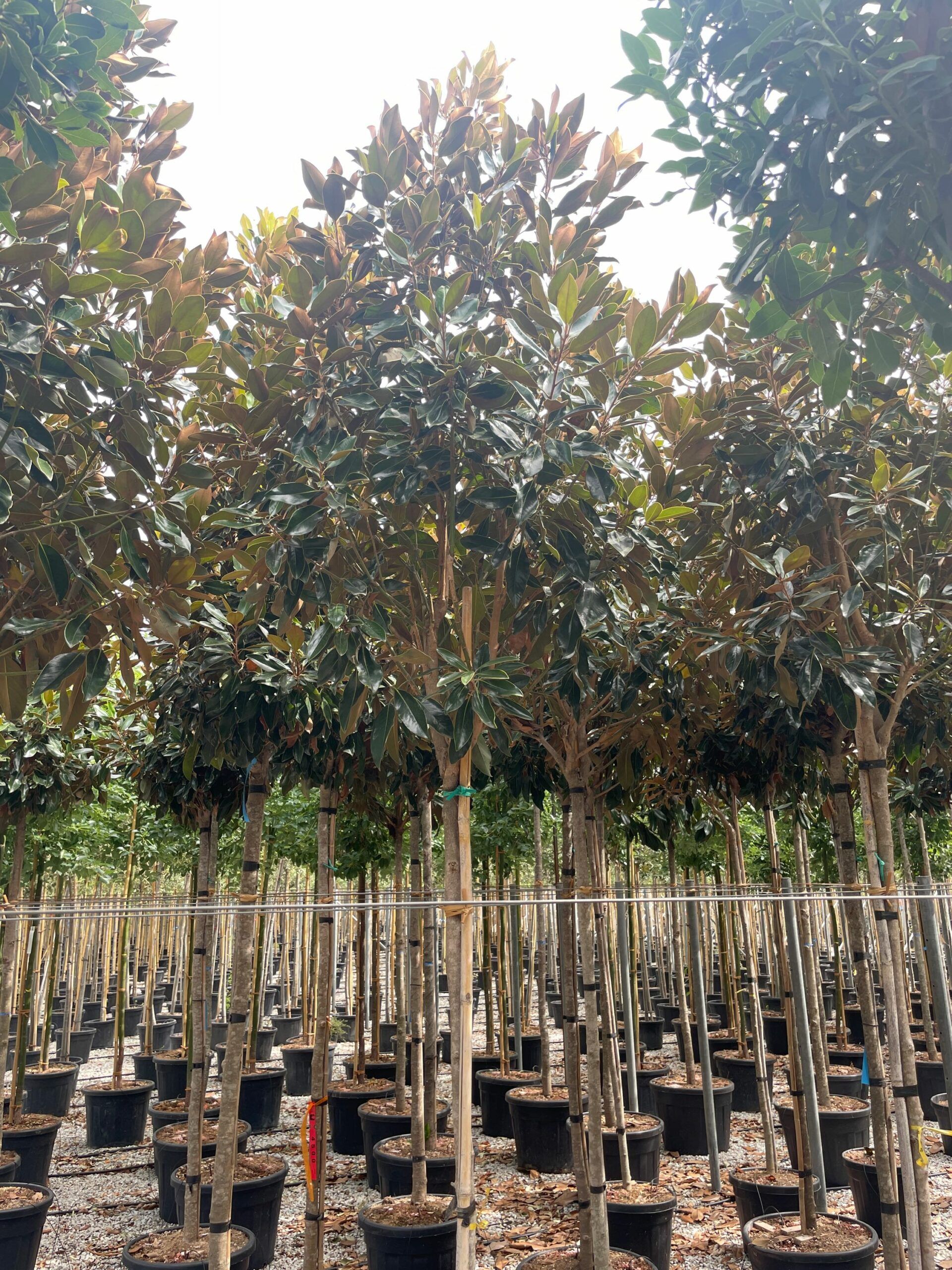 1695039880 scaled 1fffad5b