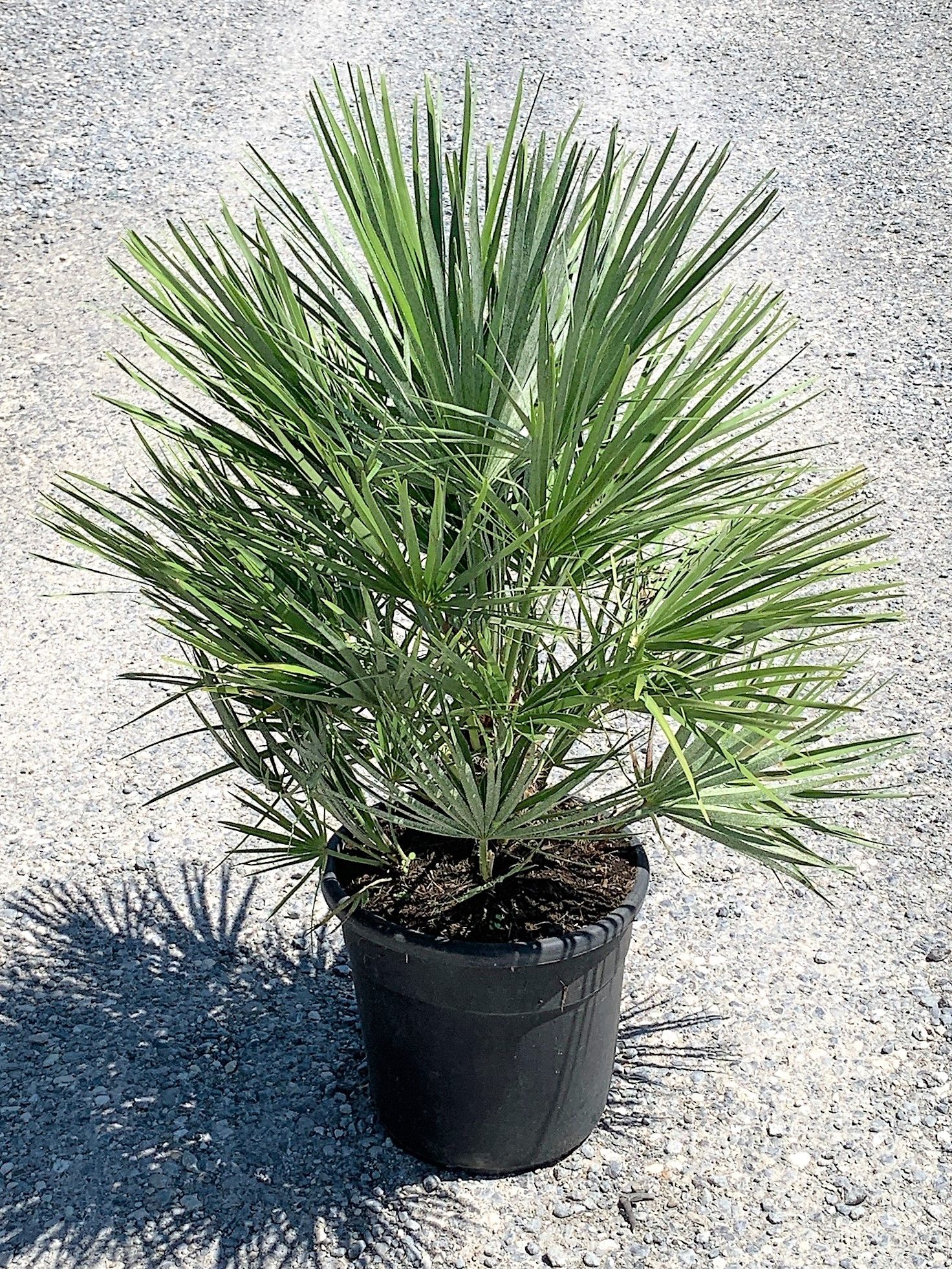 1629990363 015871b486f97d3d0894d2b62dbe5c2196fbd8a333 20891211