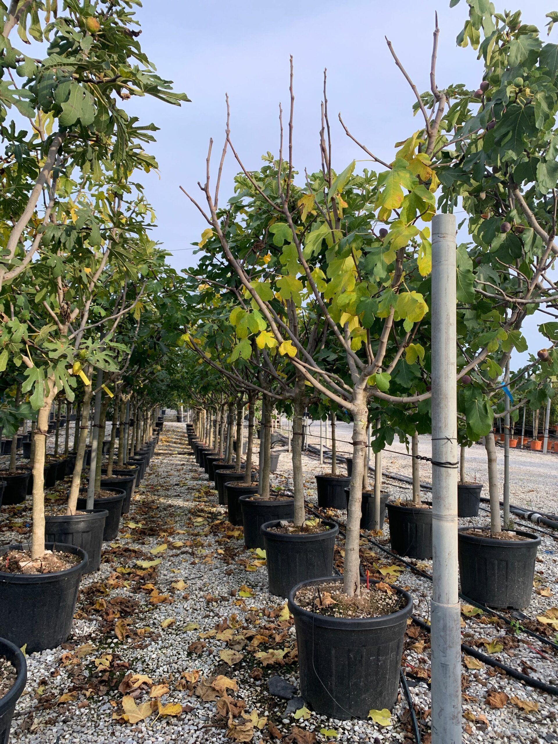 1635173397 scaled 20e0e050