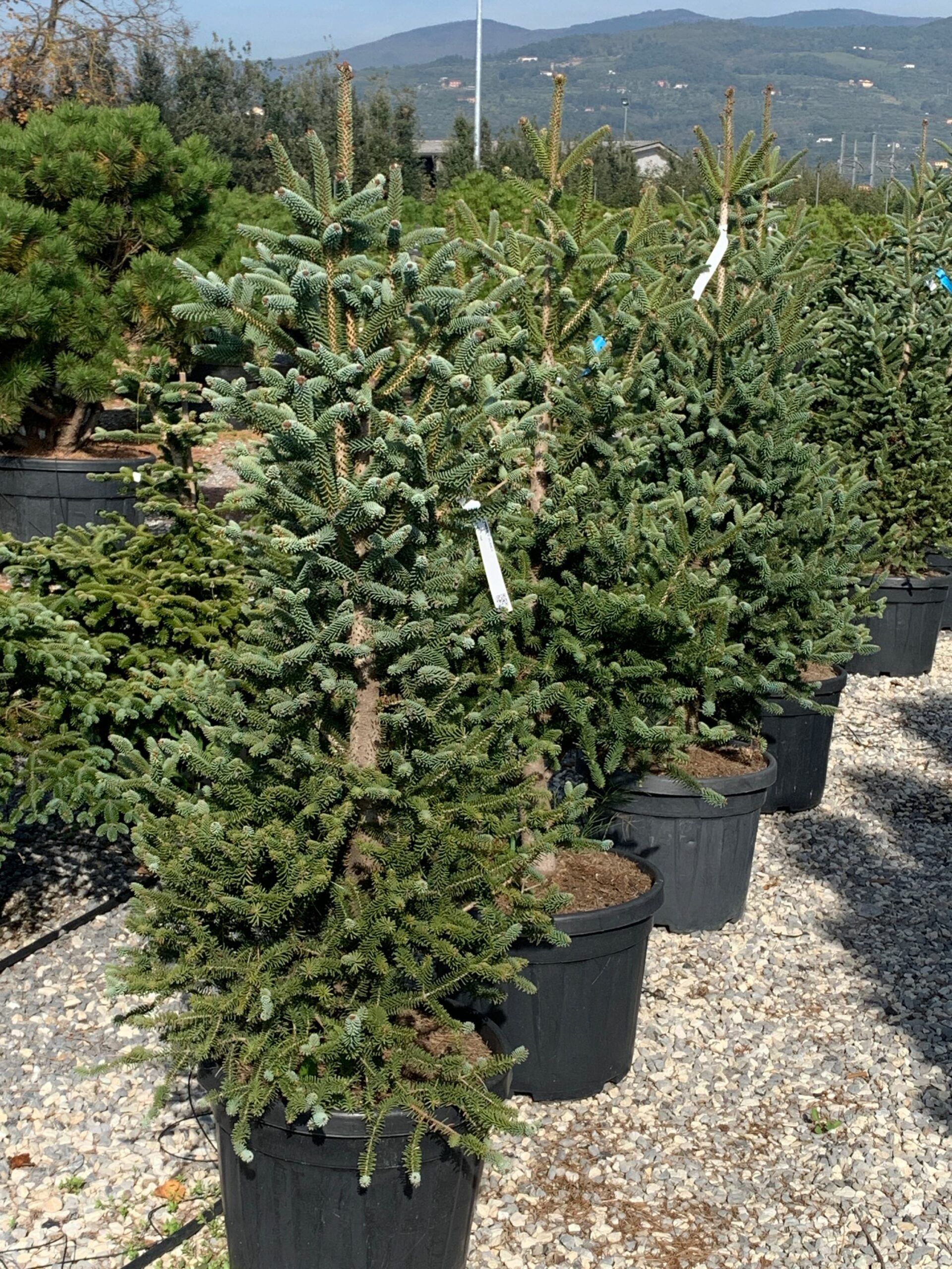 1635501983 scaled 20a00f6e