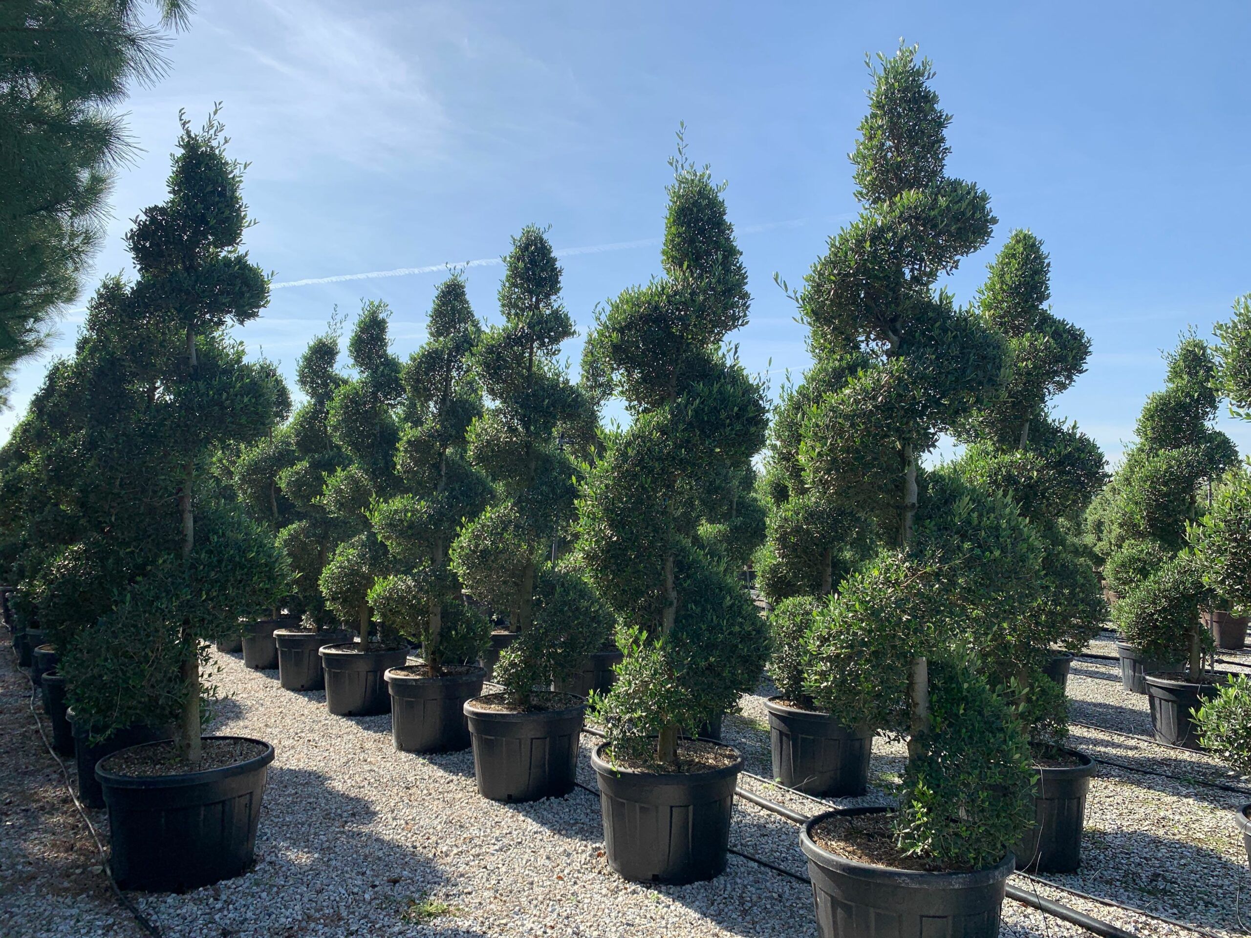 1635503418 scaled 2067db3a