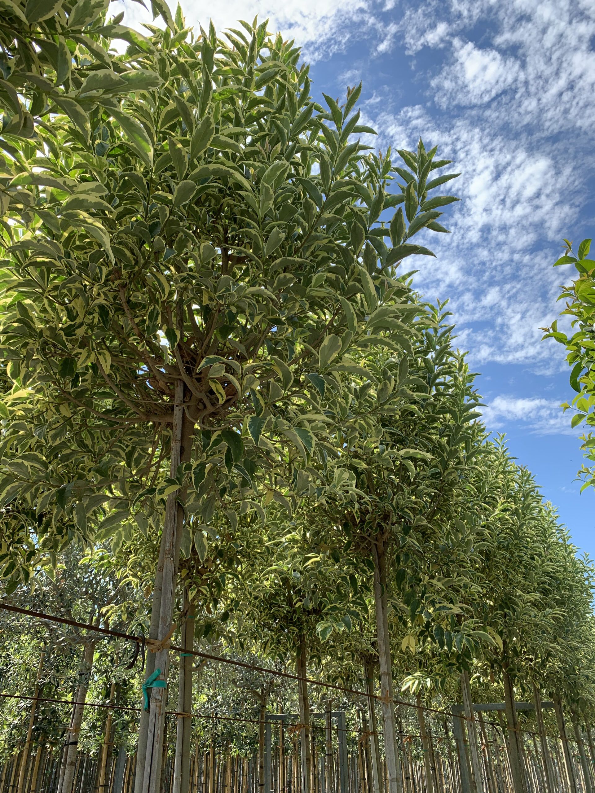 1657531875 scaled 20738b17