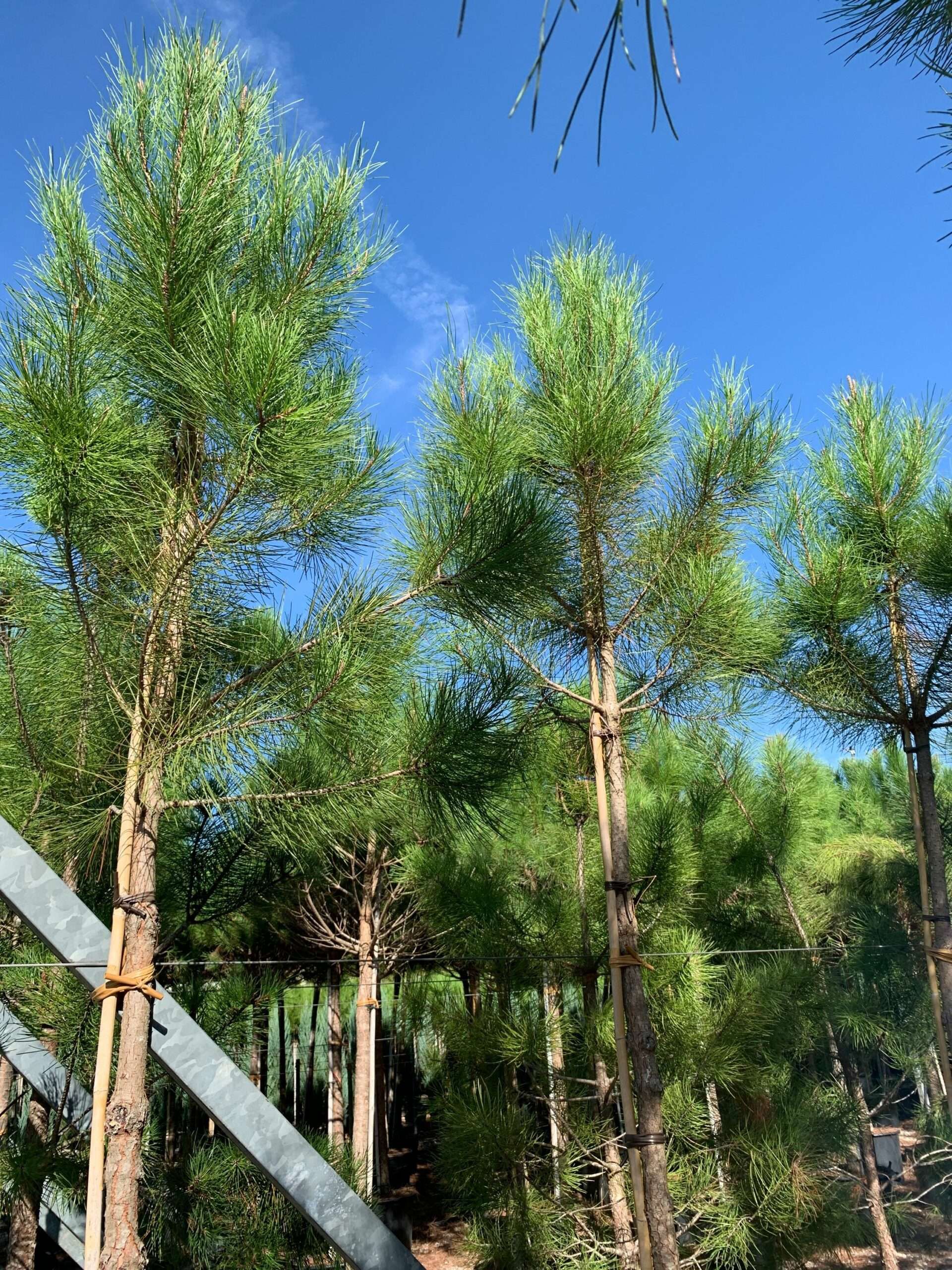 1662452434 scaled 204f56e7