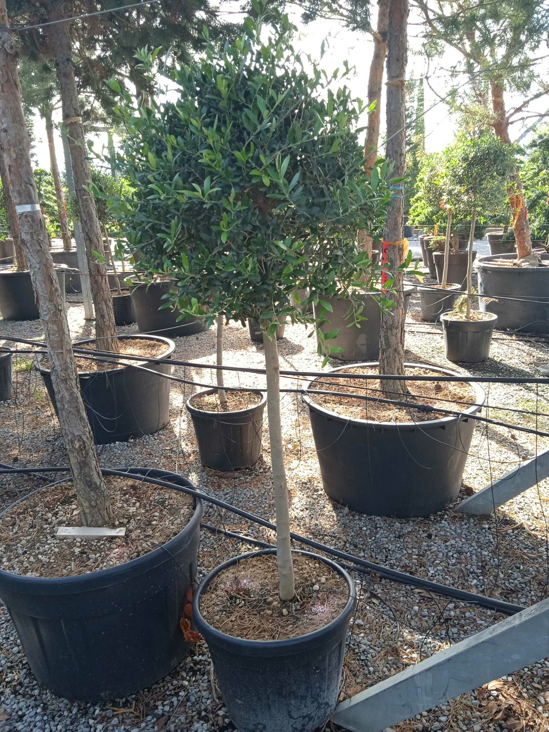 1662474390 scaled 20c058b3