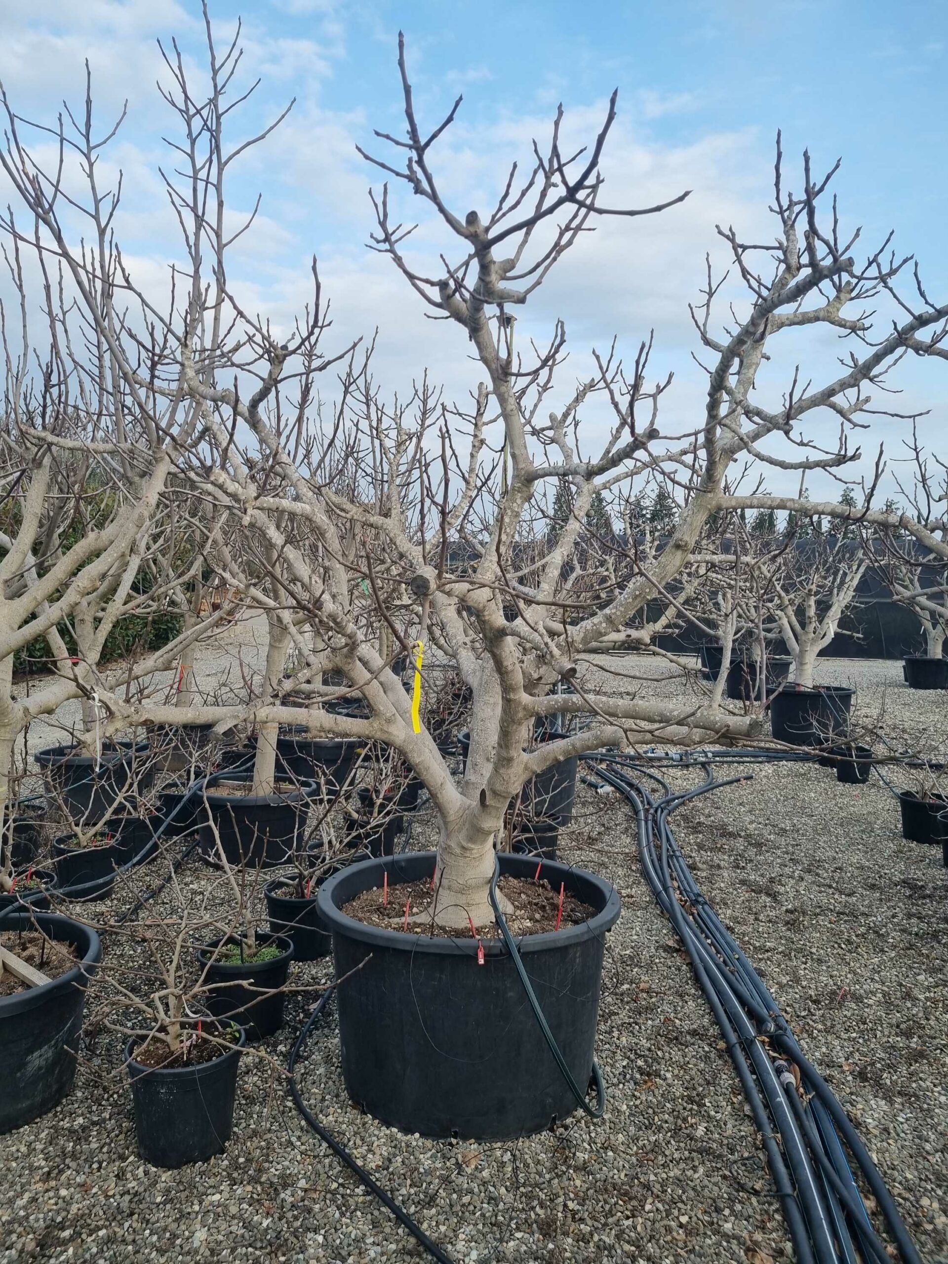 1677165817 scaled 201e0f67