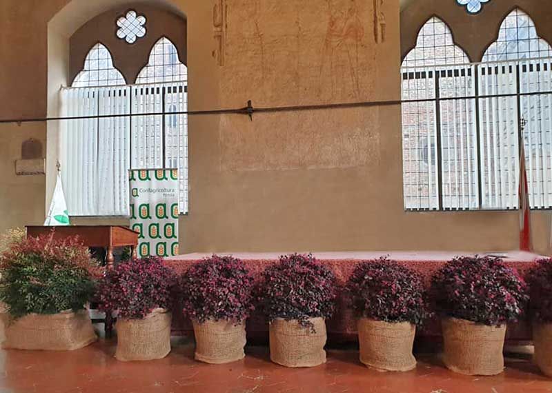 architettura del paesaggio per la città fornitura piante