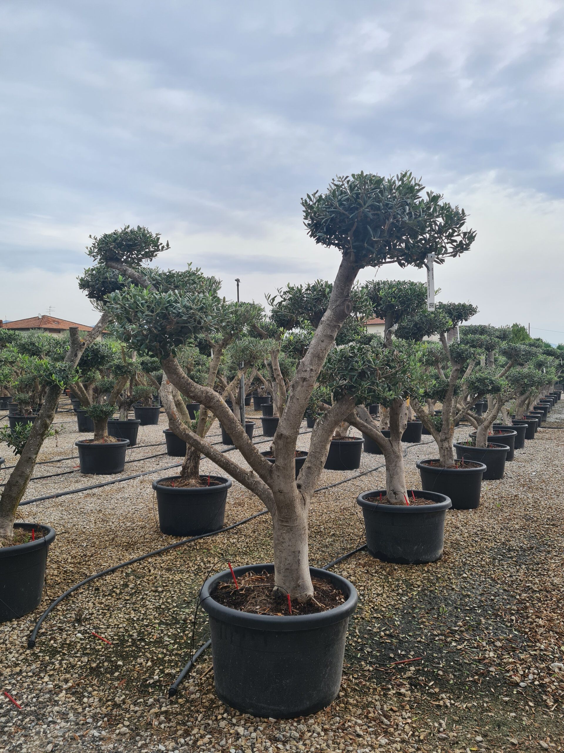 1631781373 17 scaled 2167ddc9