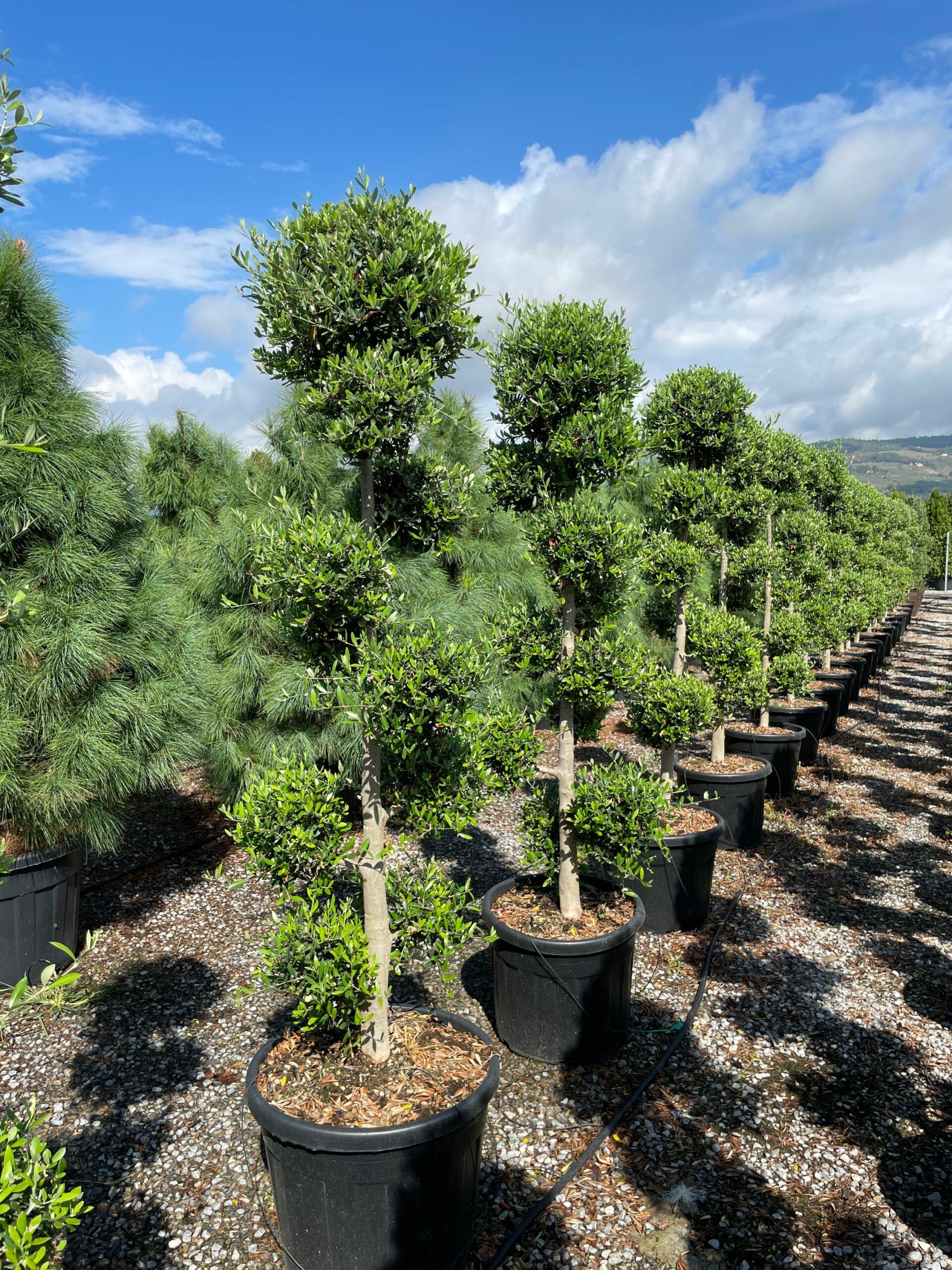 1631957441 1 scaled 214504f1