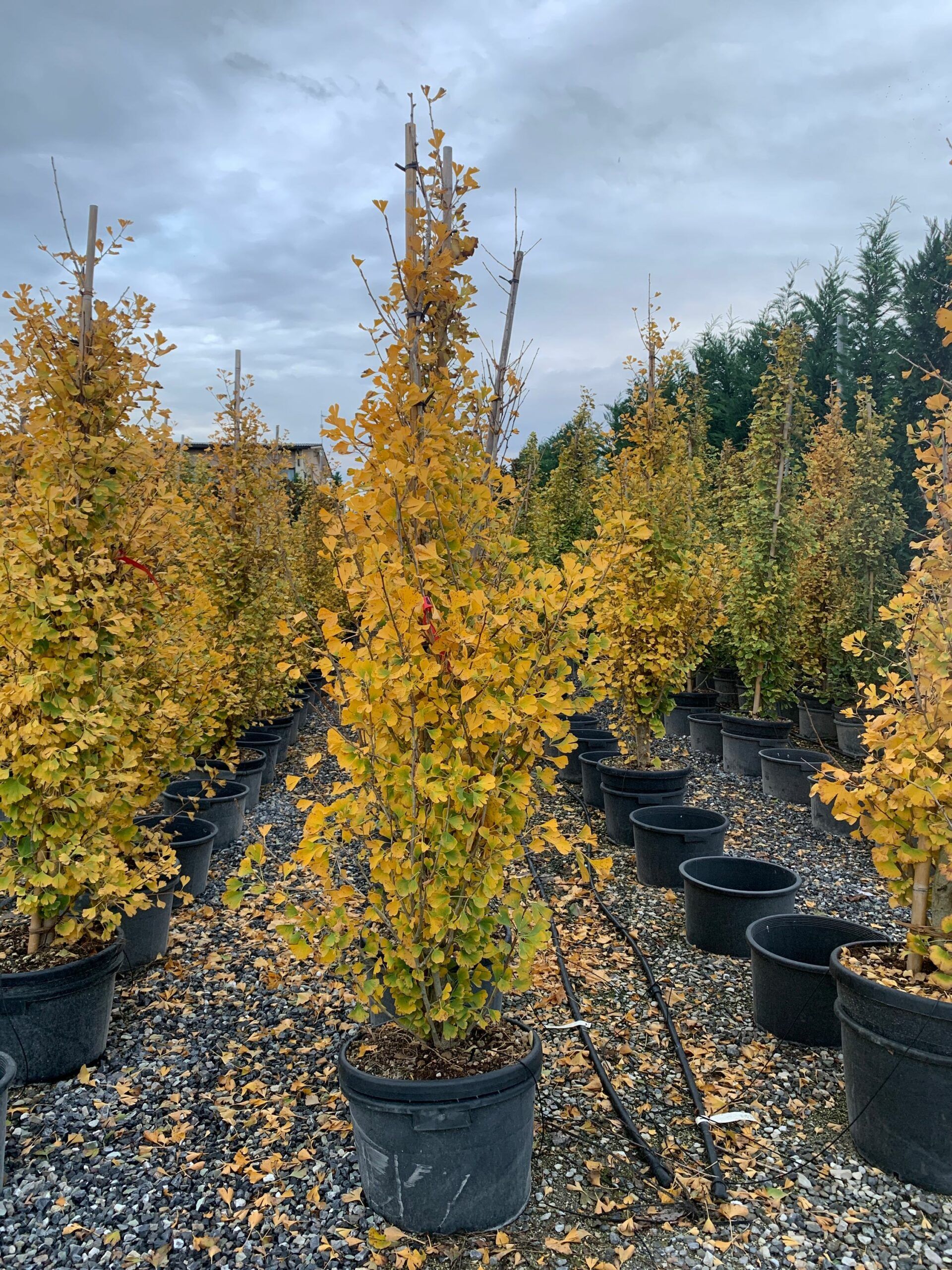 1635952967 scaled 2185ee07