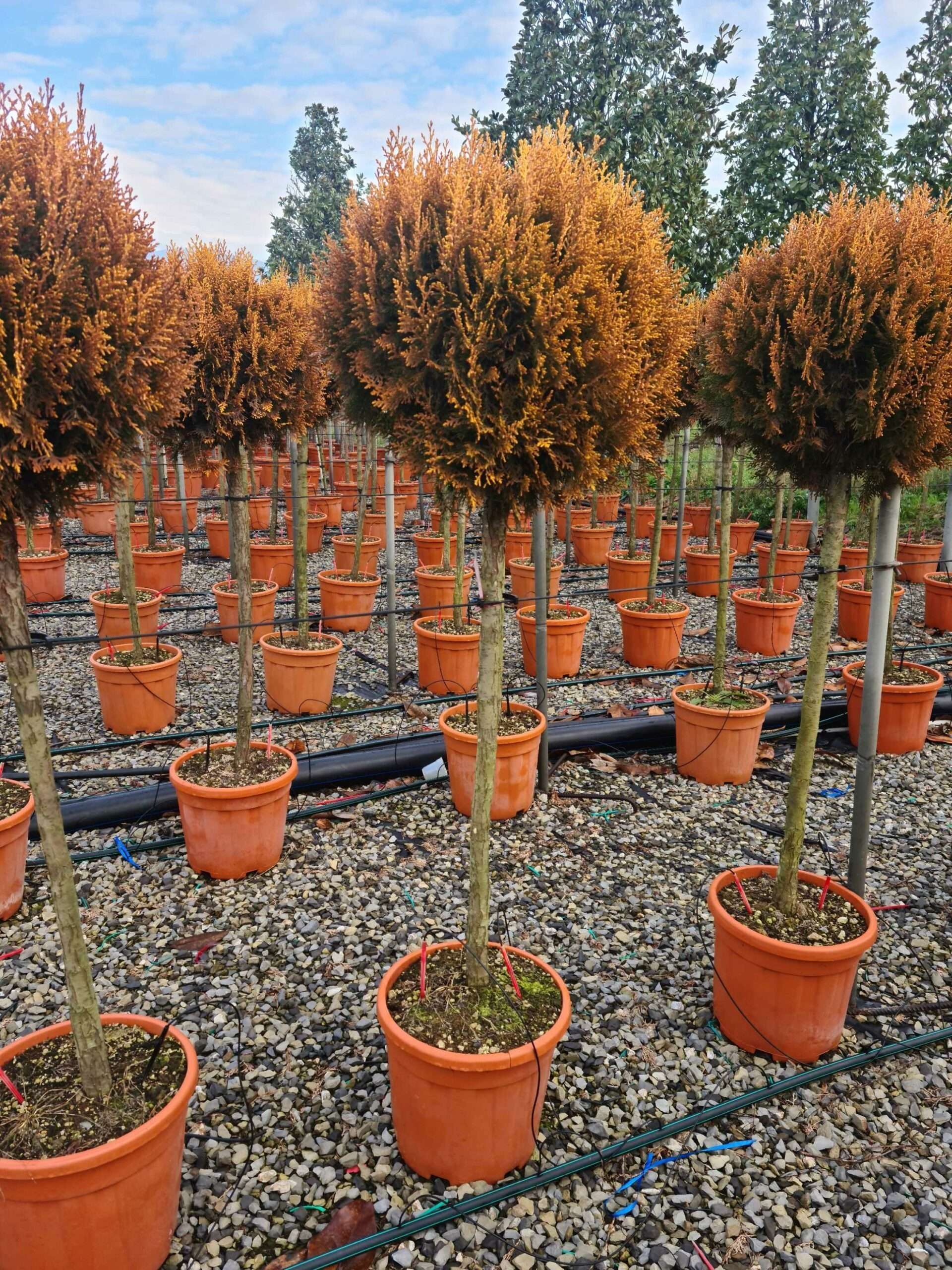 1640162559 scaled 21efc82e