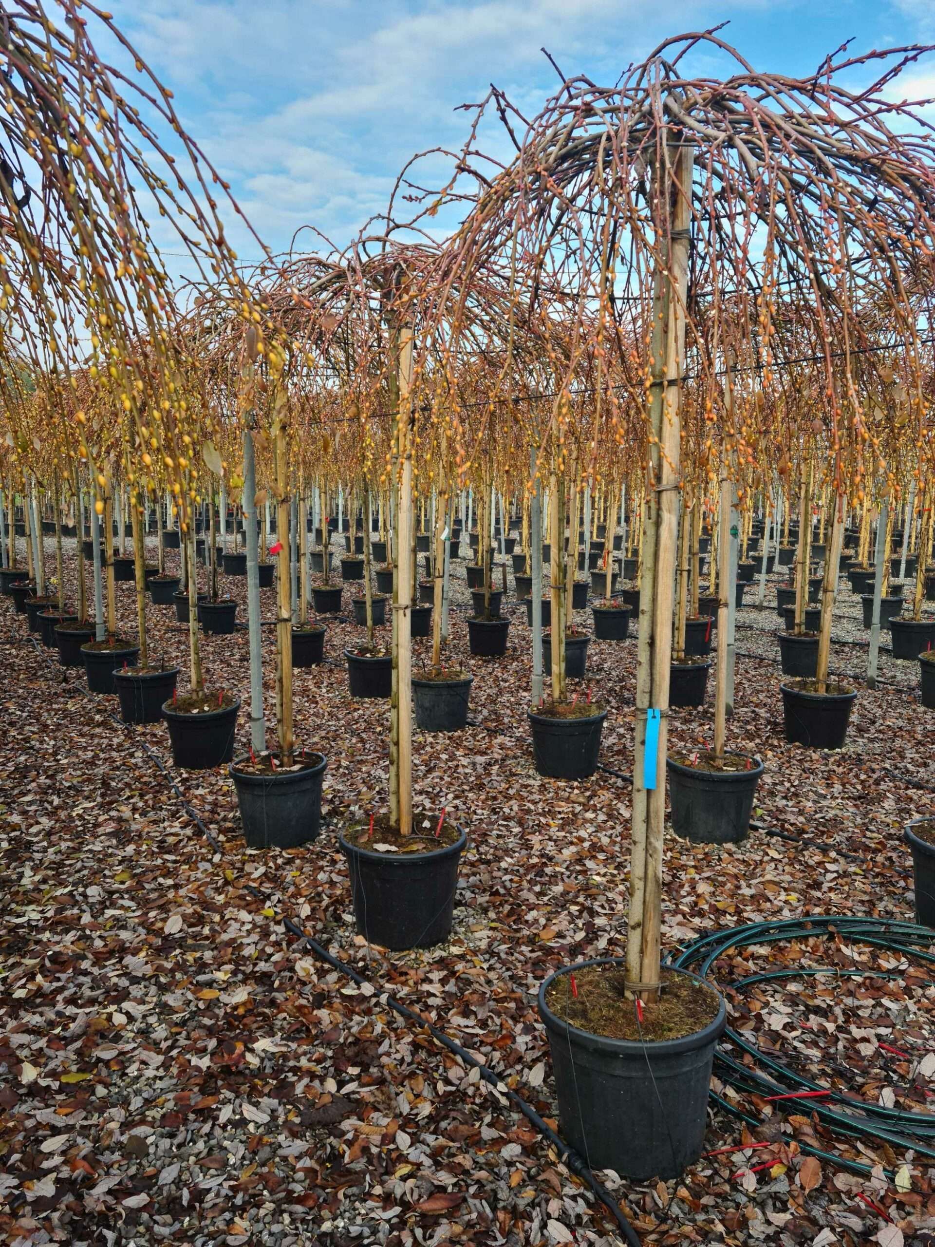 1640164938 scaled 21b54fab