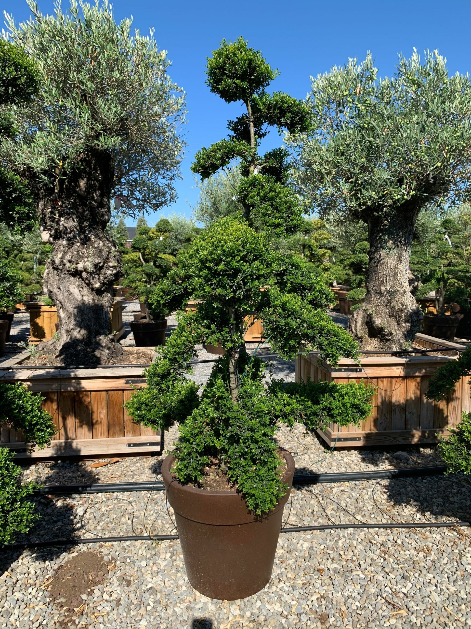 1659599234 scaled 21acc6d7