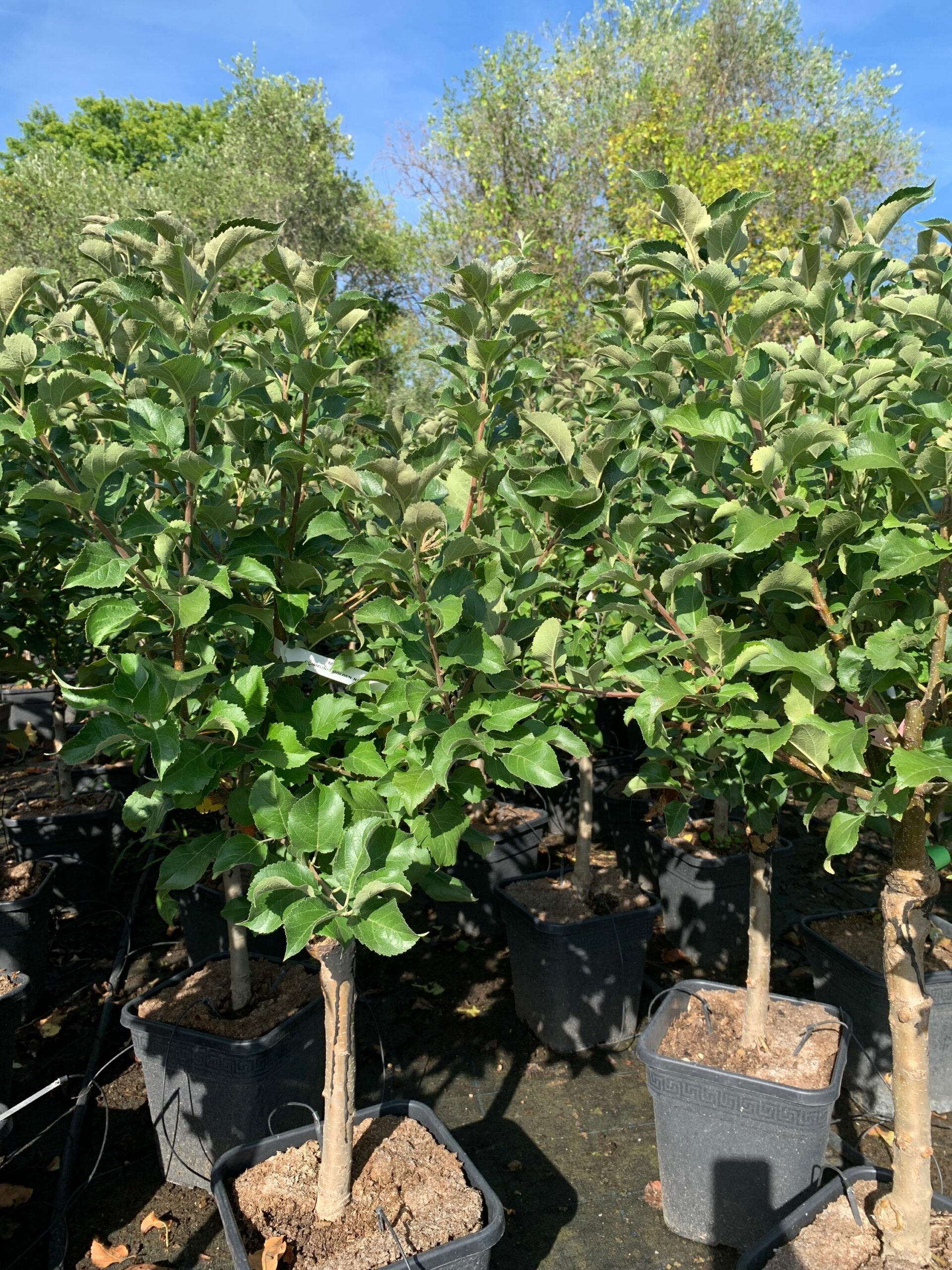 1662364639 scaled 21a1493d