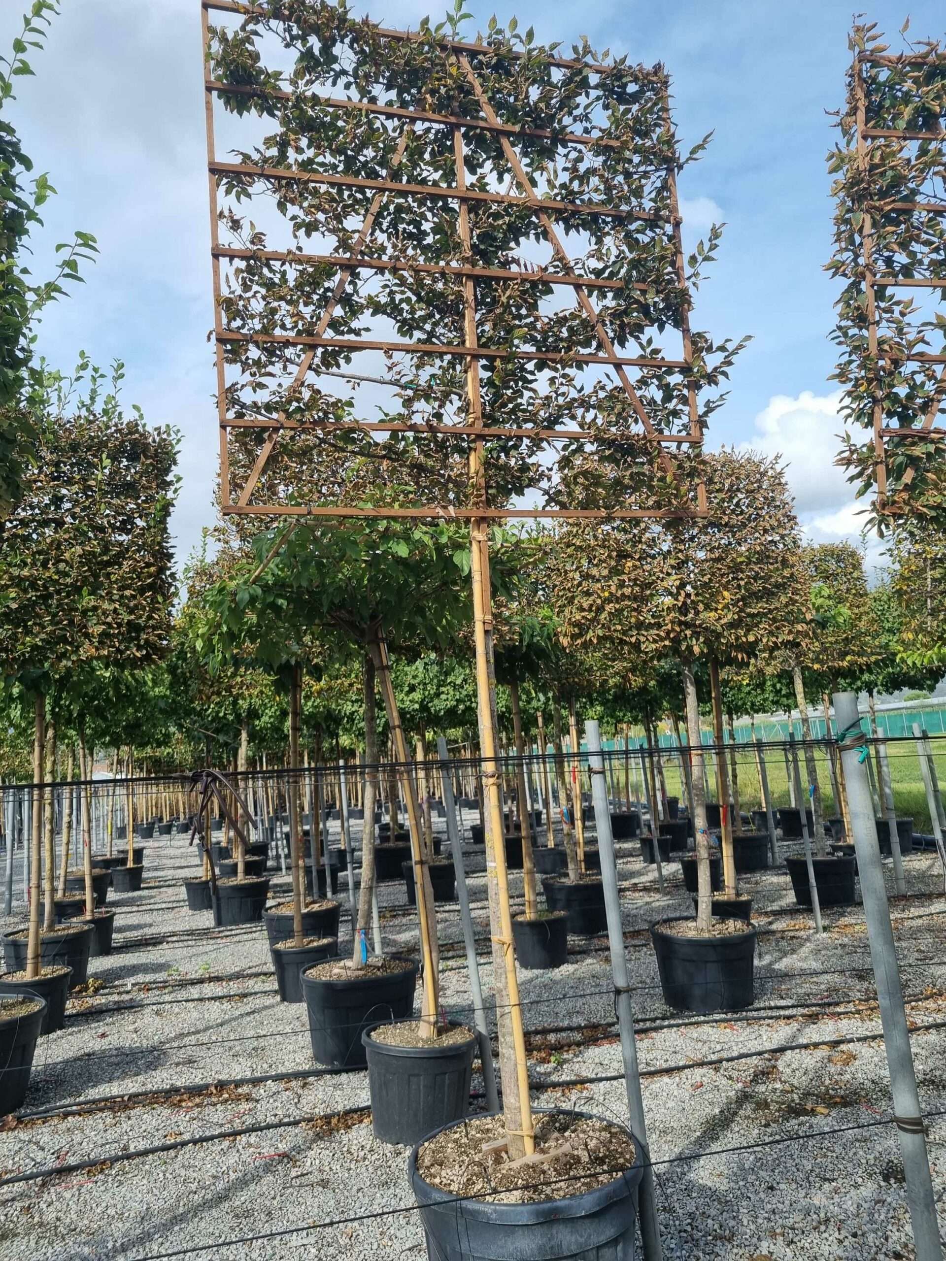 1664458821 scaled 218e083b