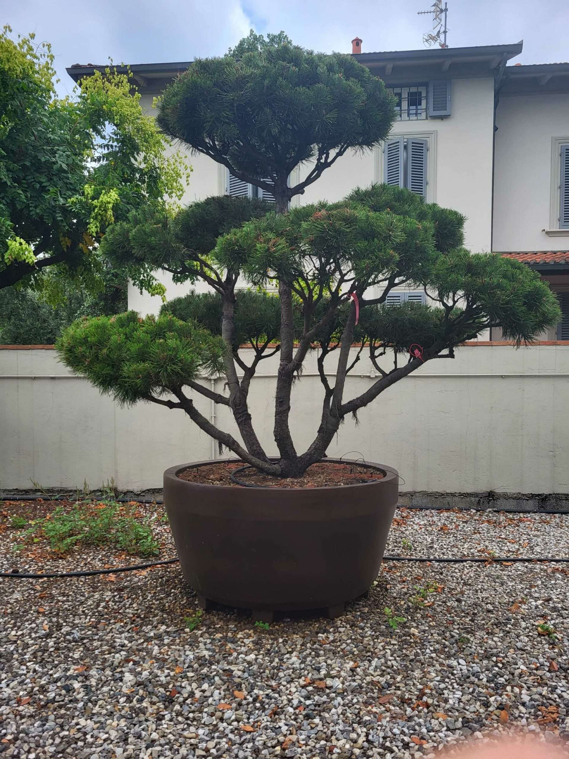 1691051927 scaled 21e287e0