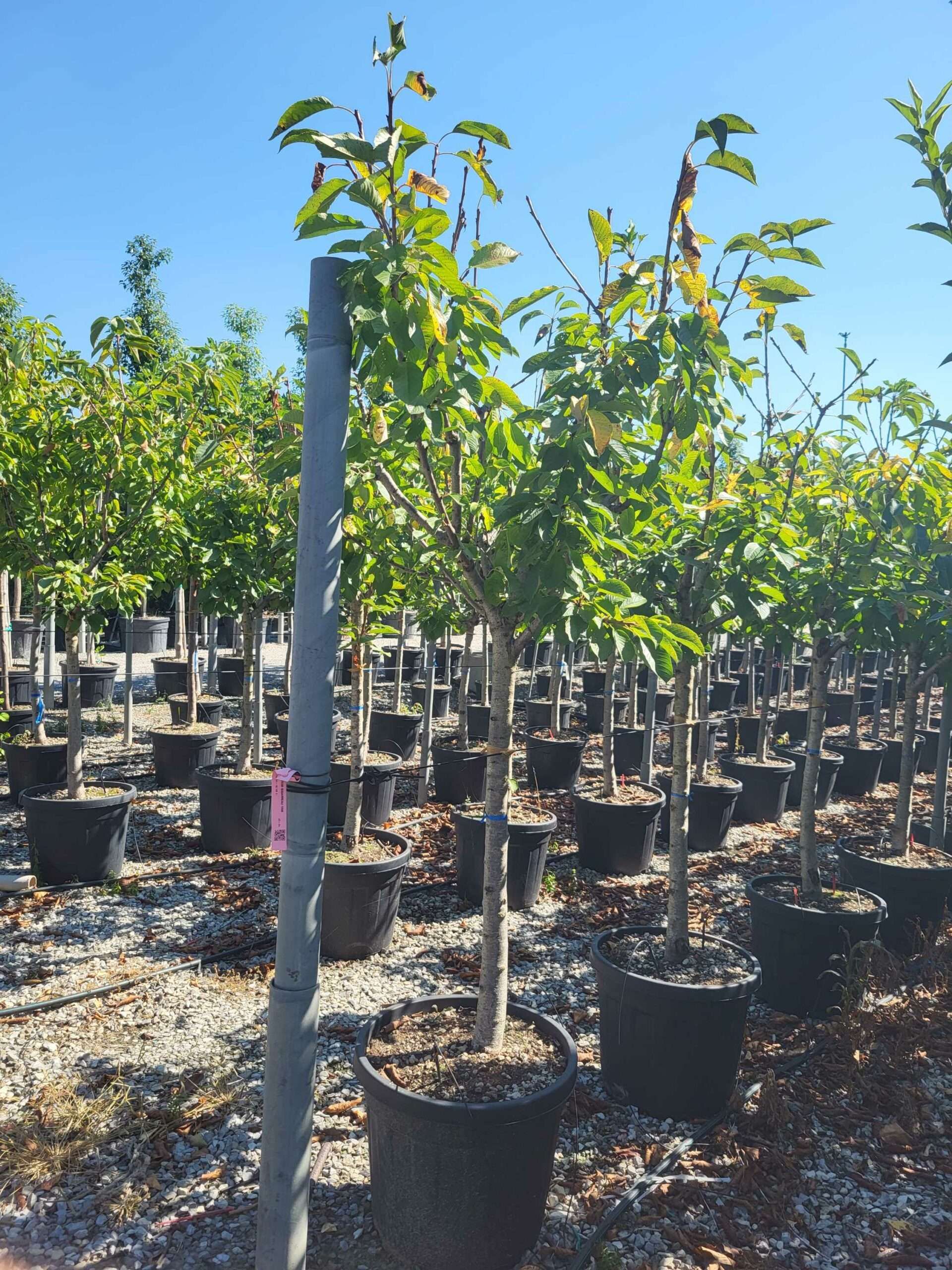 1692694168 scaled 21450e02