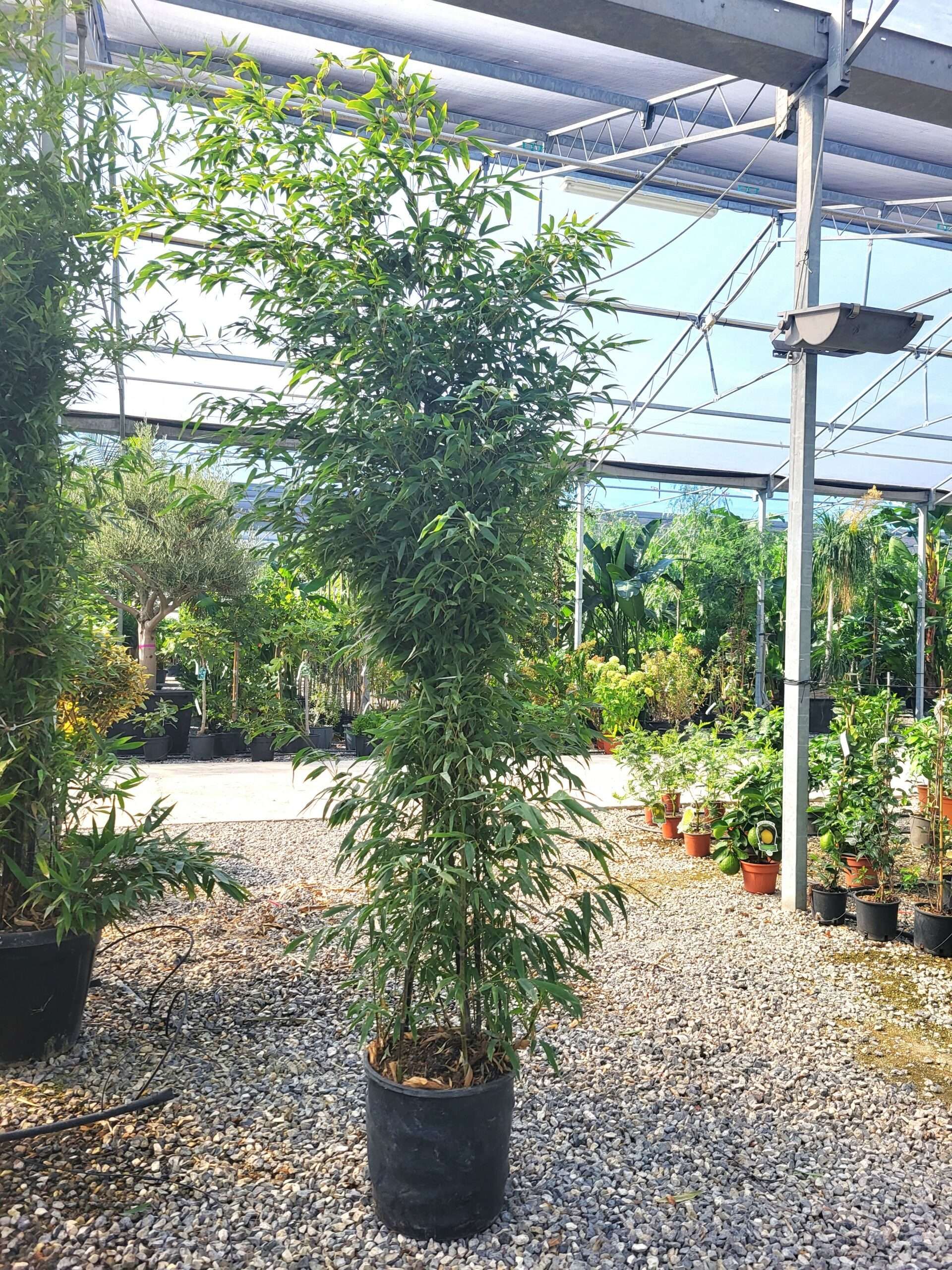 1696326966 scaled 21ec79b9