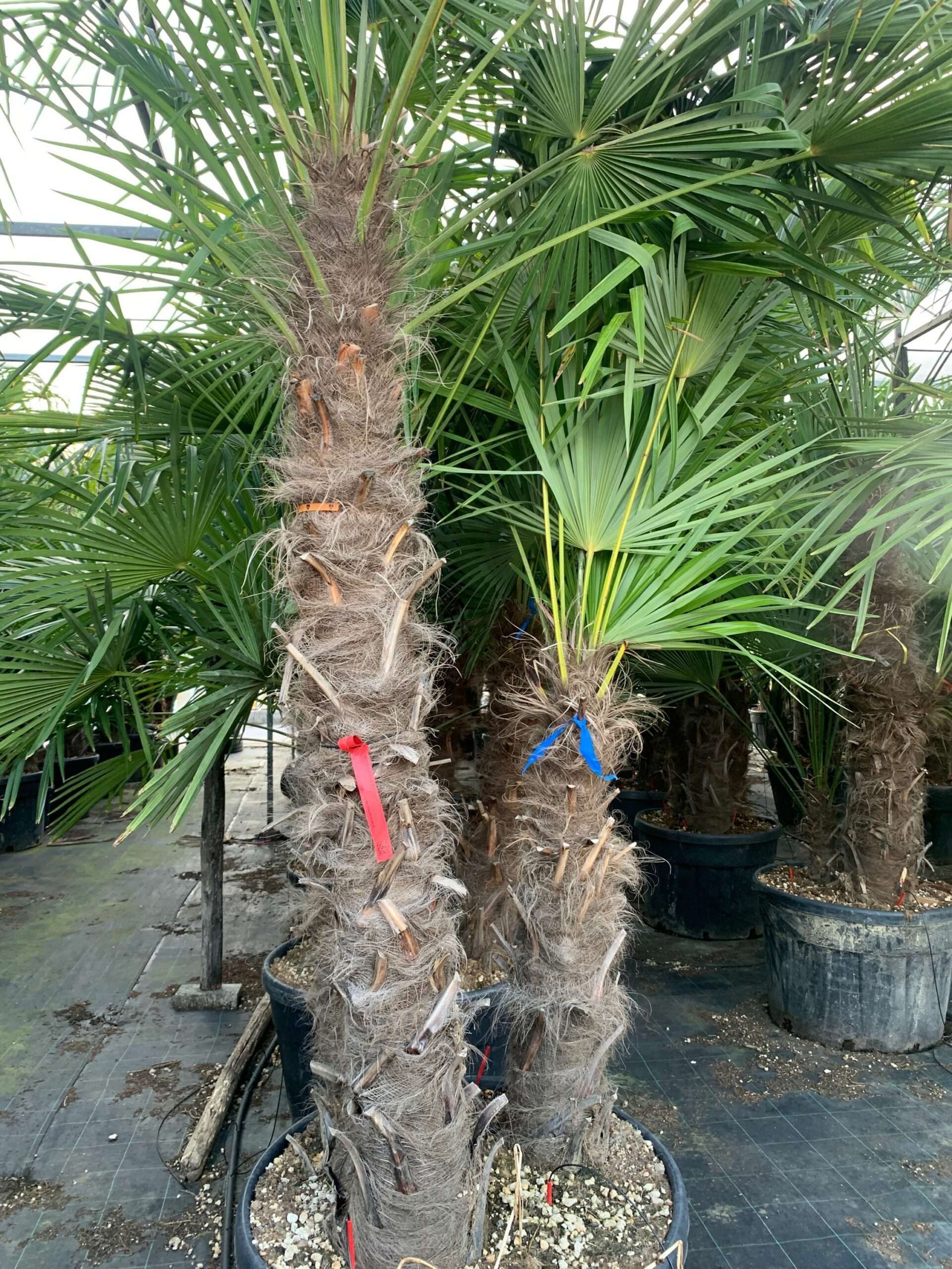 1636556001 scaled 22b12e3e