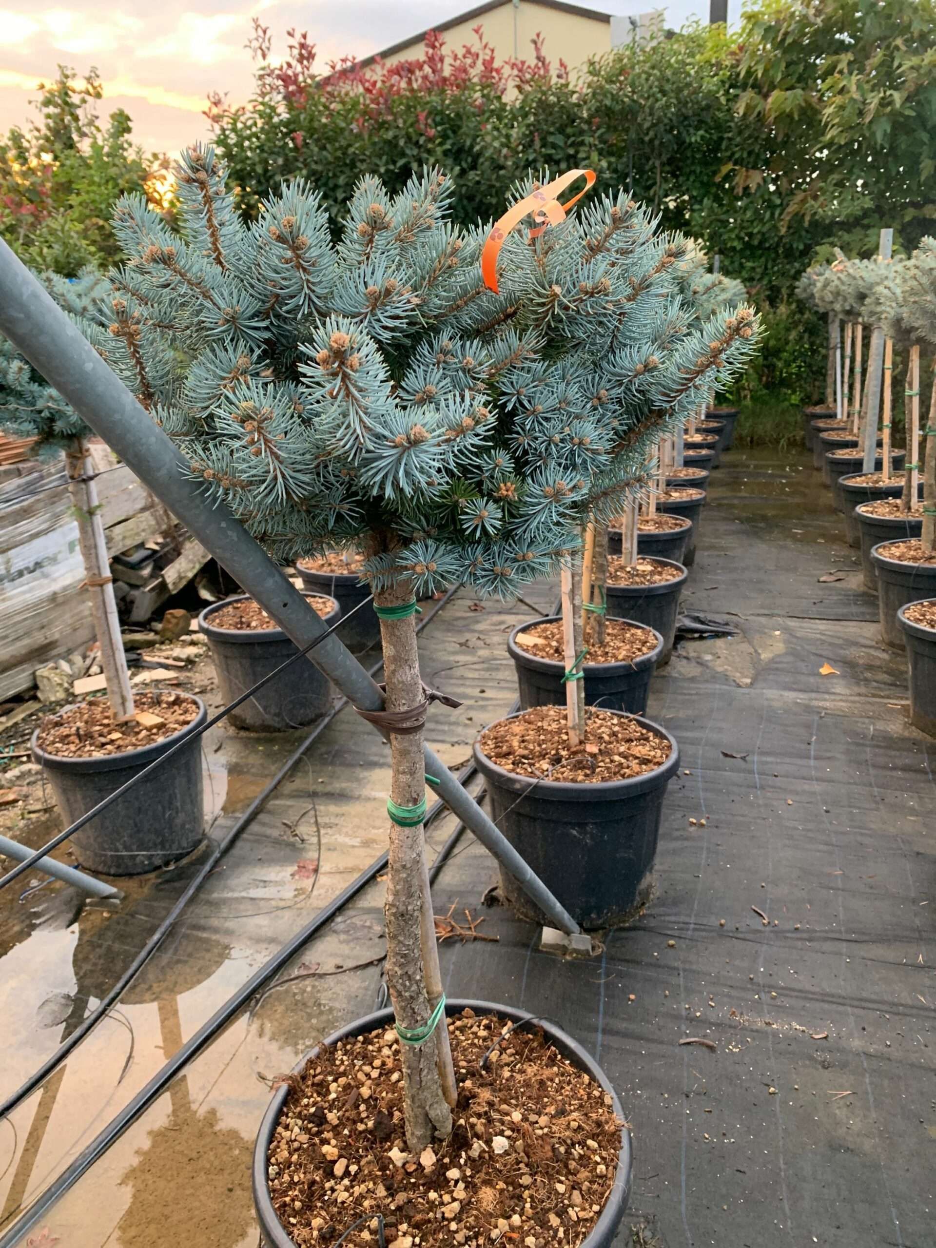 1636991048 scaled 22e7e182