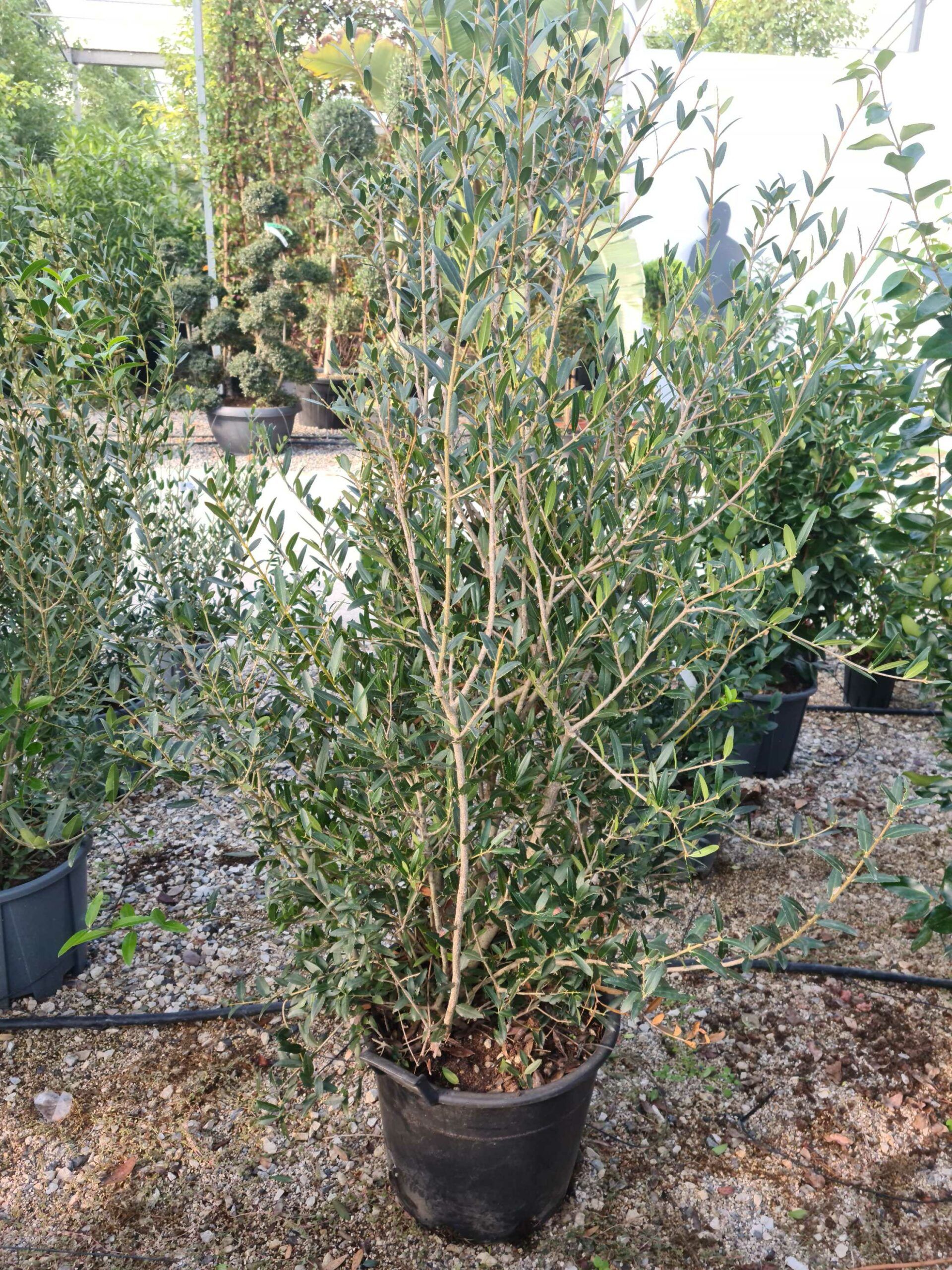 1639477048 scaled 22e83240