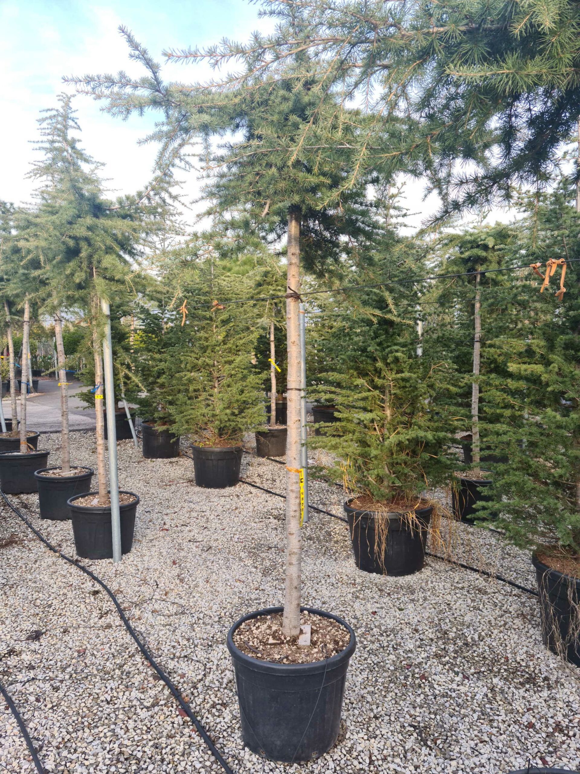 1639491786 scaled 22df1aa0