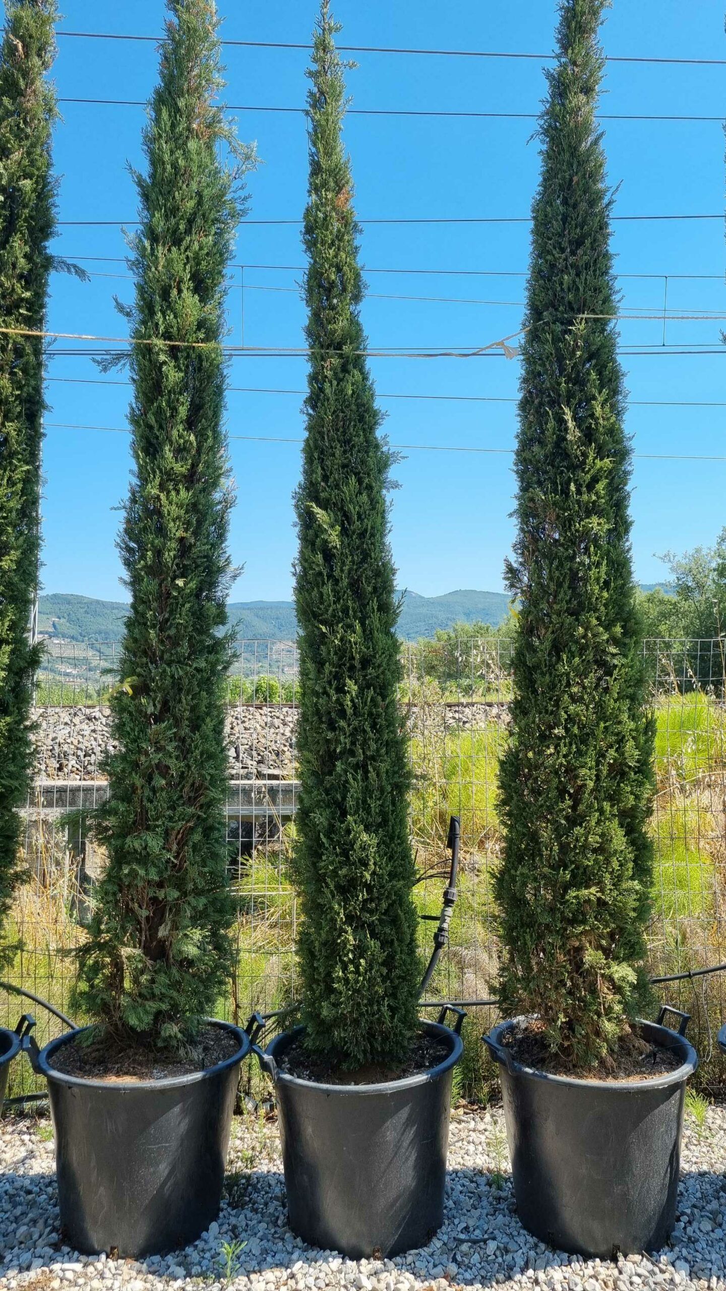 1658220378 scaled 228fbc7f