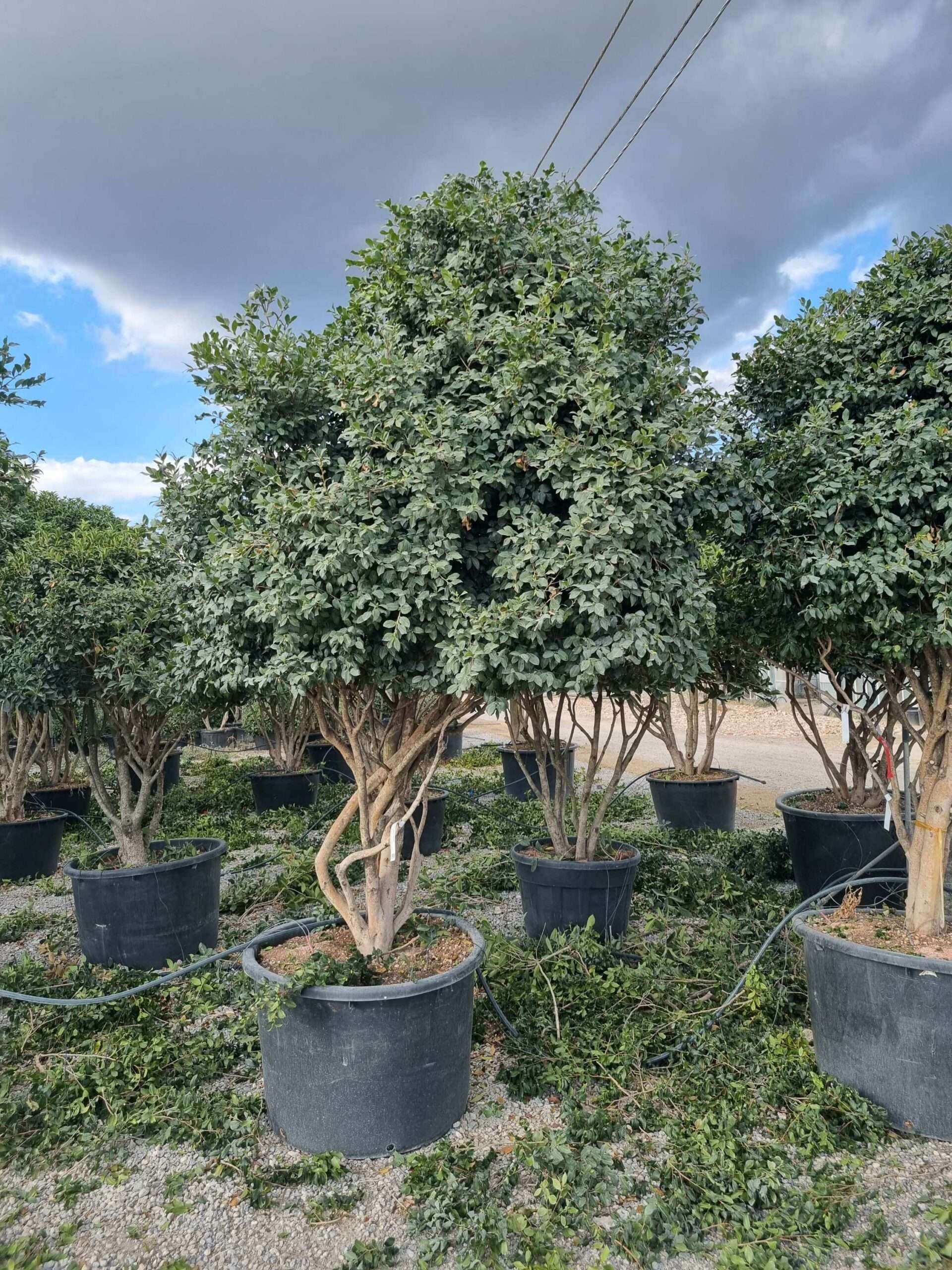 1663599385 1 scaled 22d9d2f2