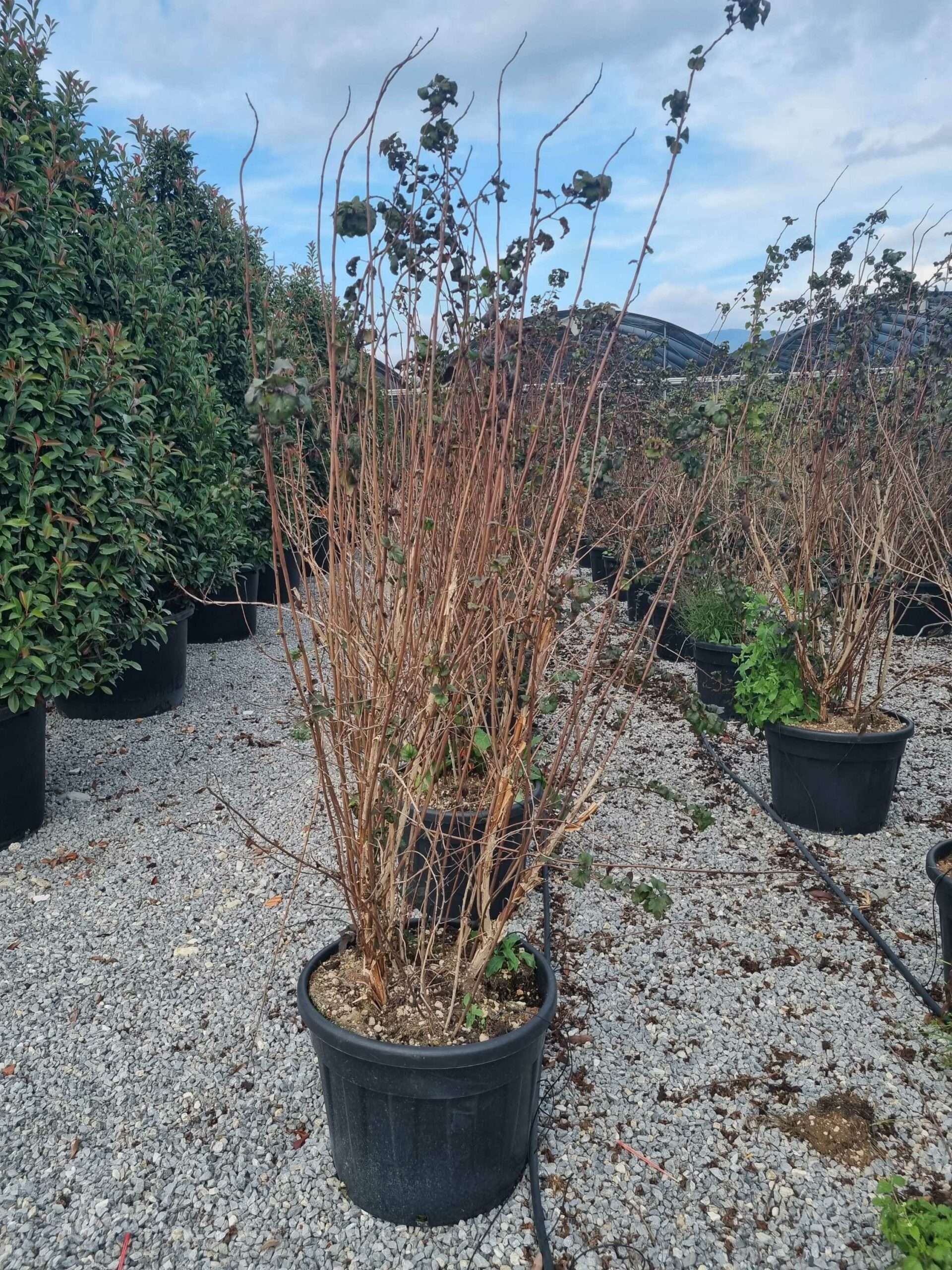 1665493735 scaled 226dc86b