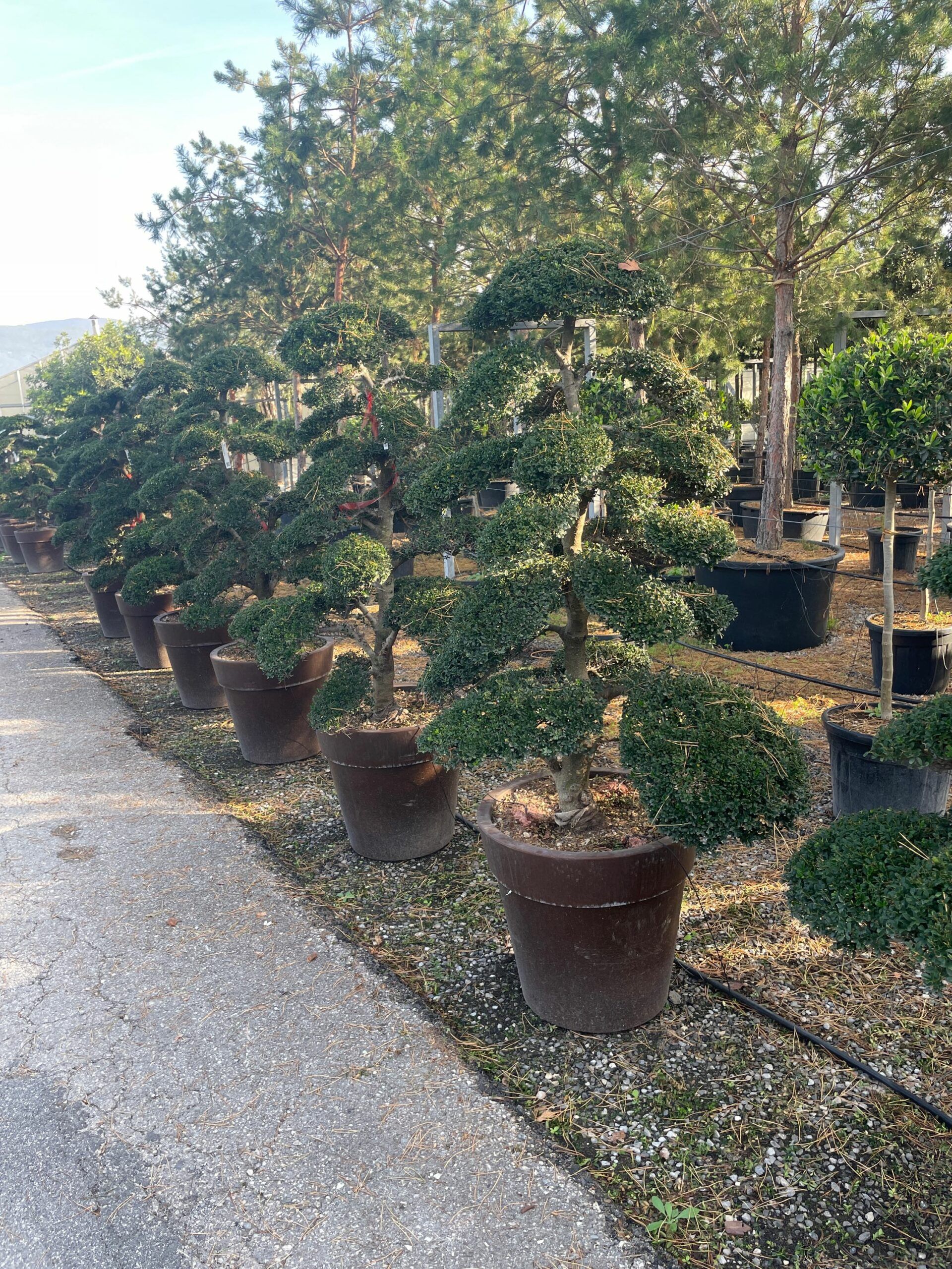 1666251680 scaled 22ff5b8e